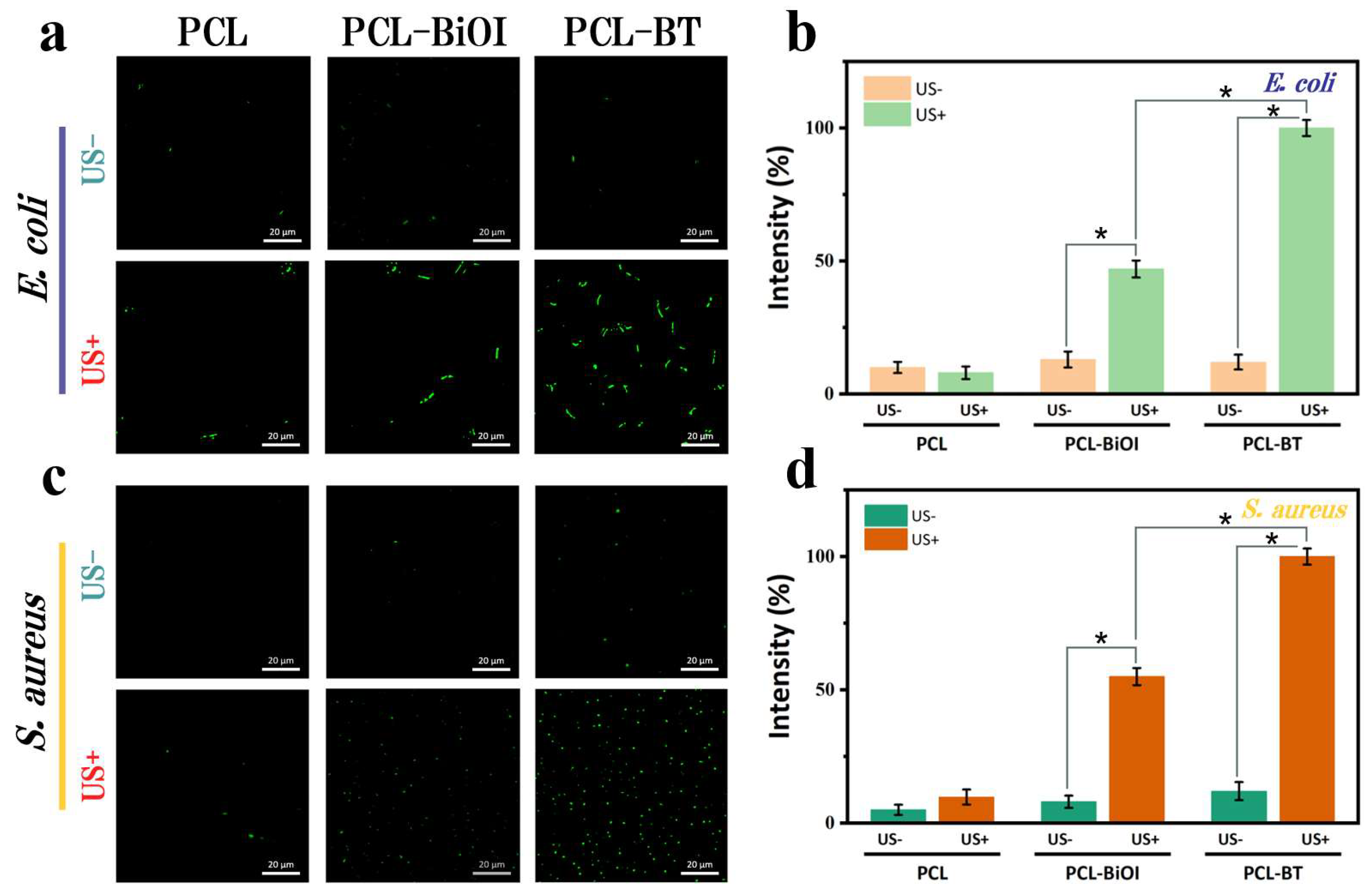 Materials 18 03533 g007
