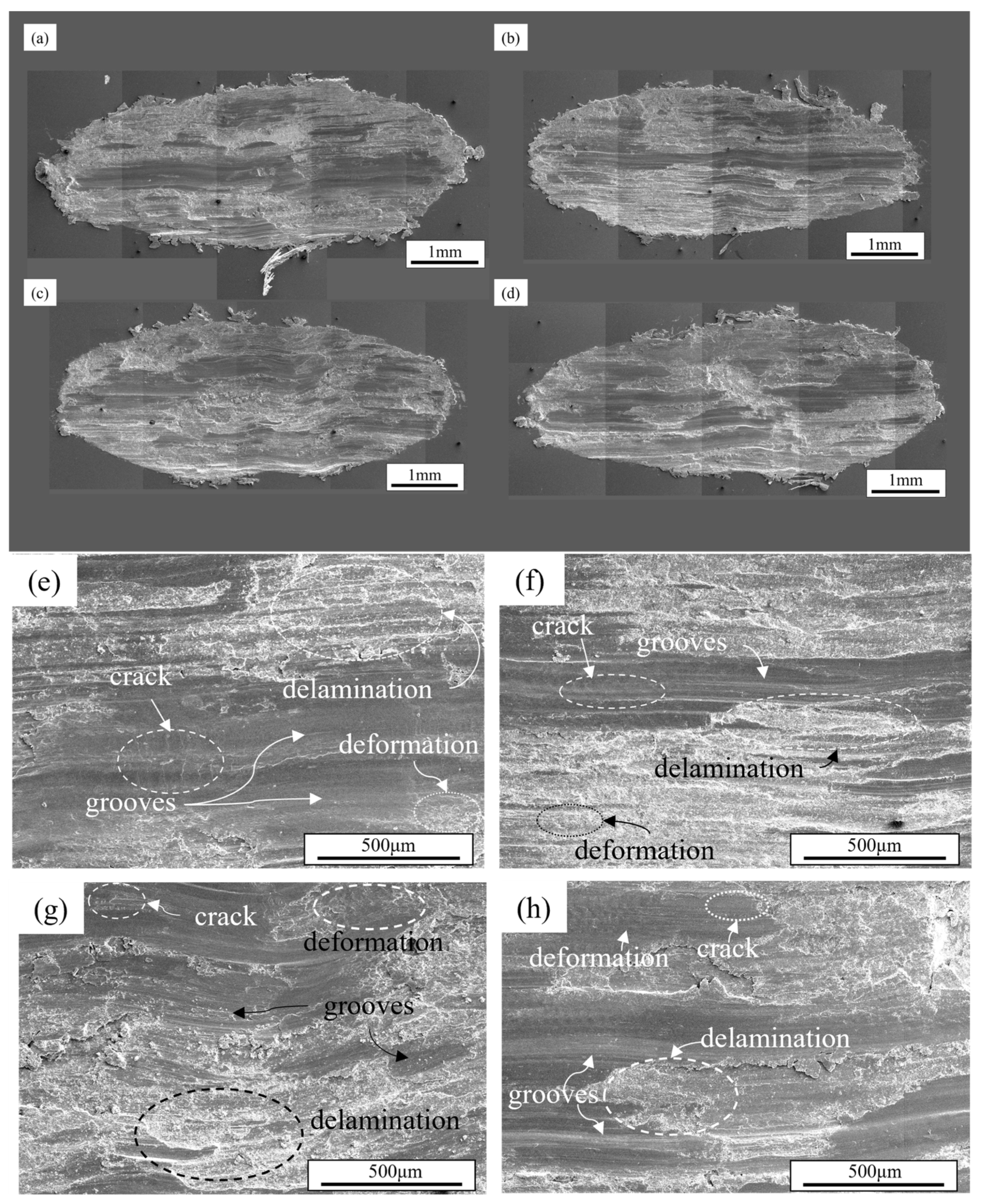 Materials 18 03541 g008