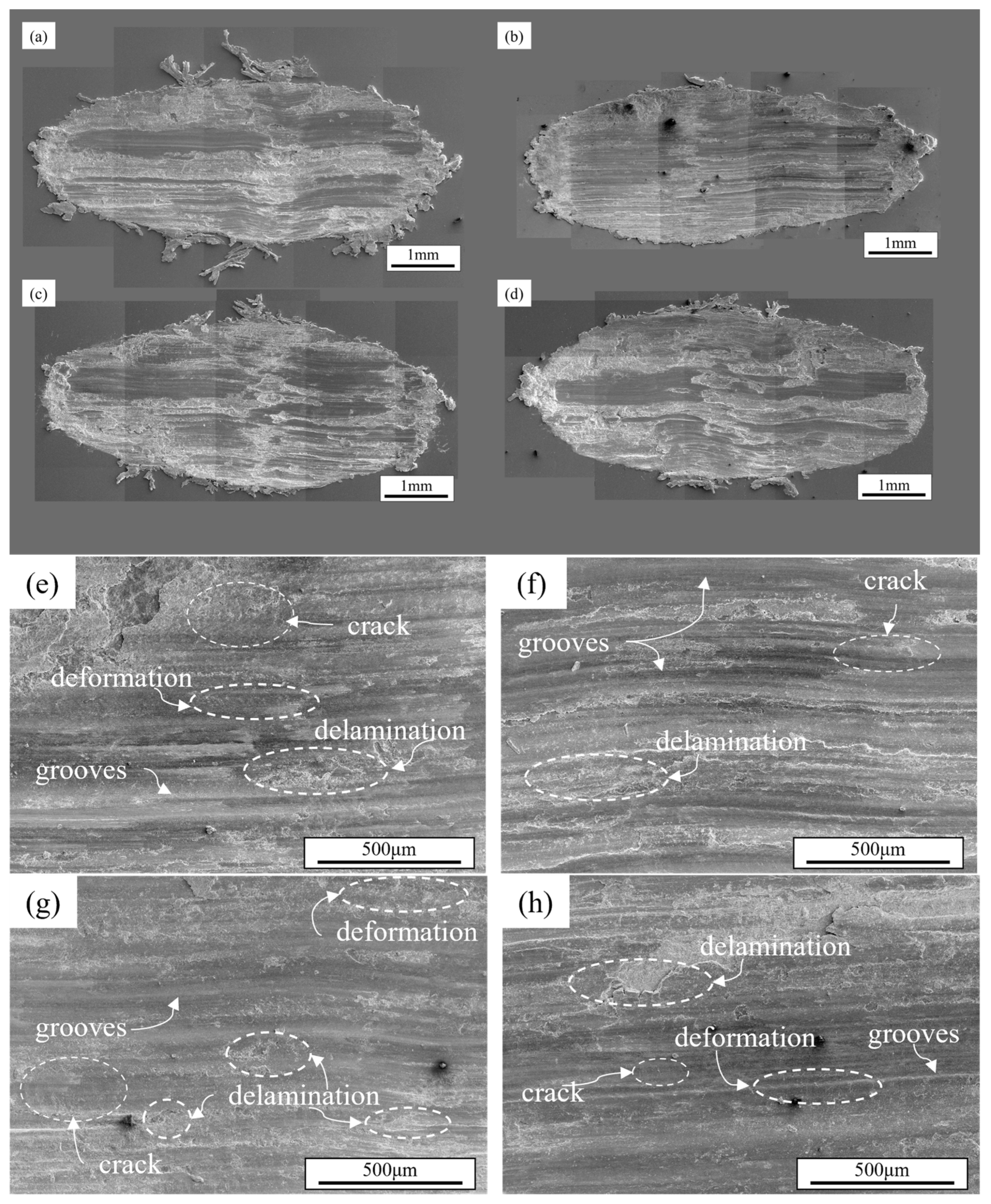 Materials 18 03541 g009