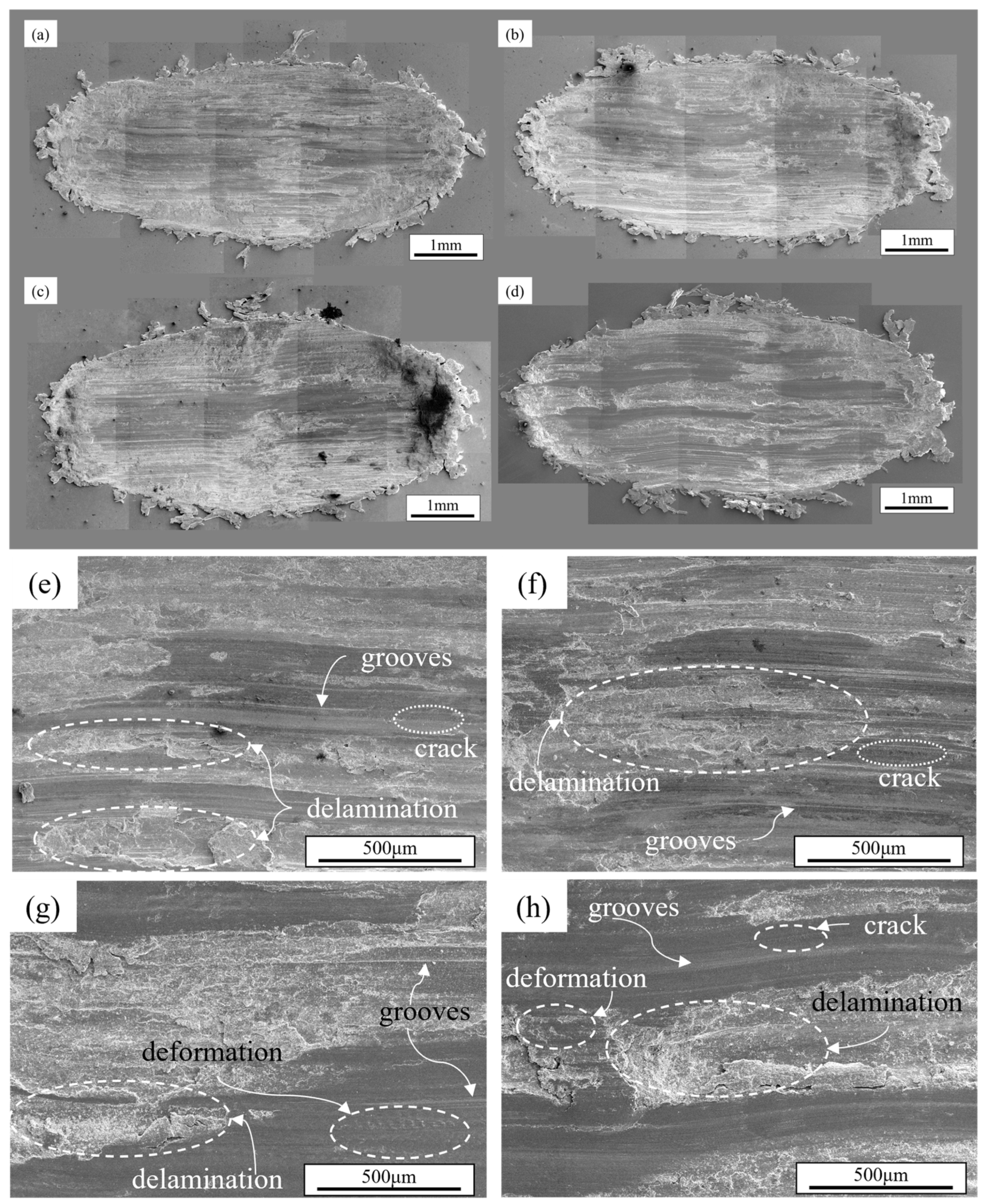 Materials 18 03541 g010