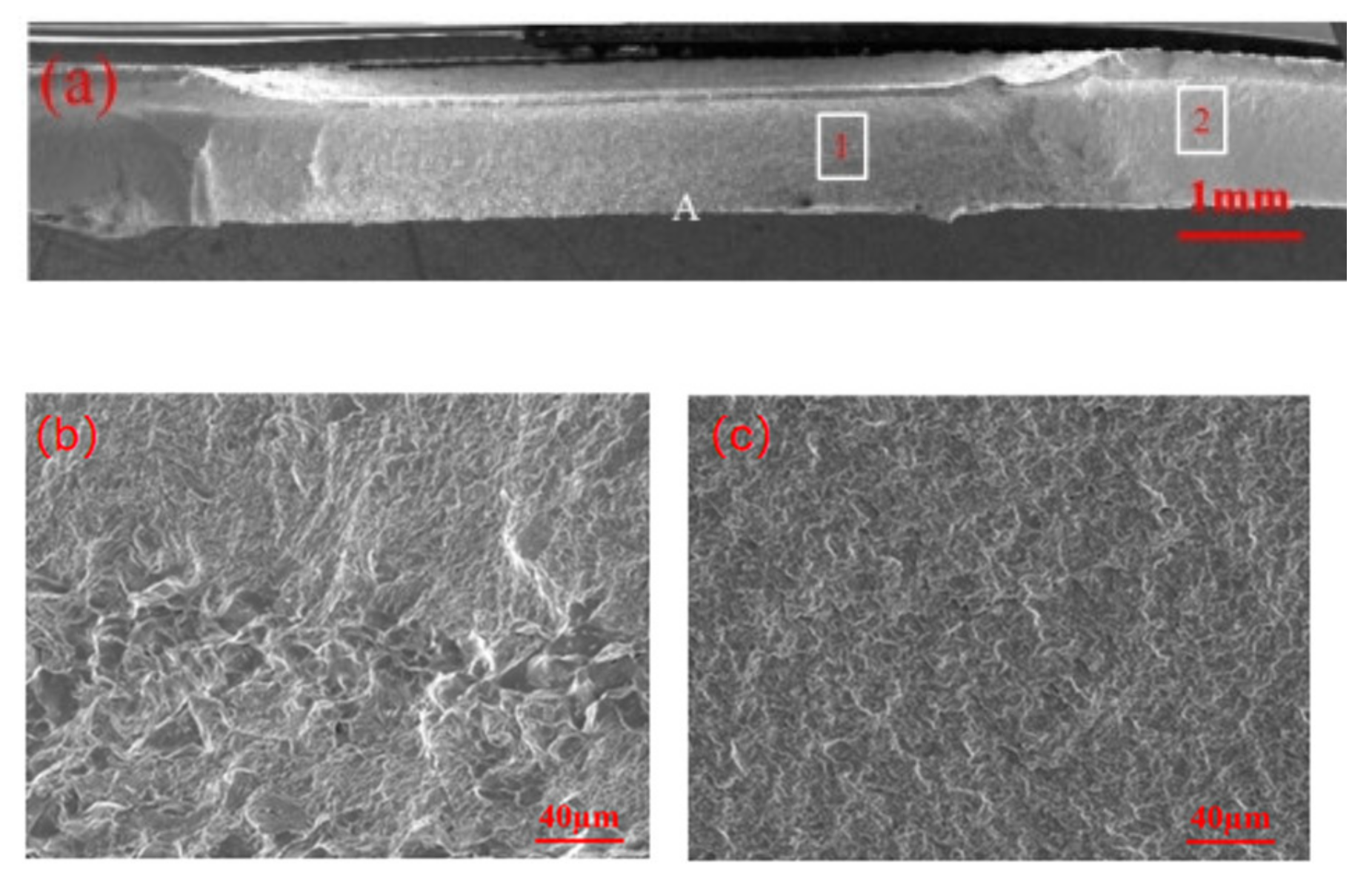 Materials 18 03542 g007