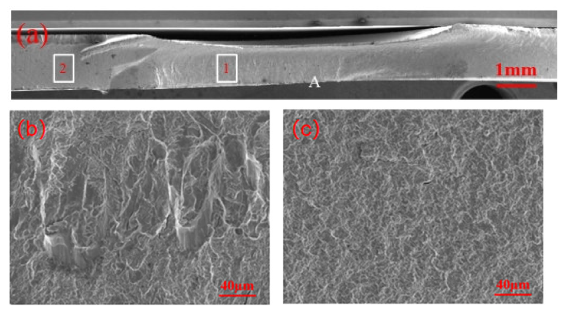 Materials 18 03542 g008