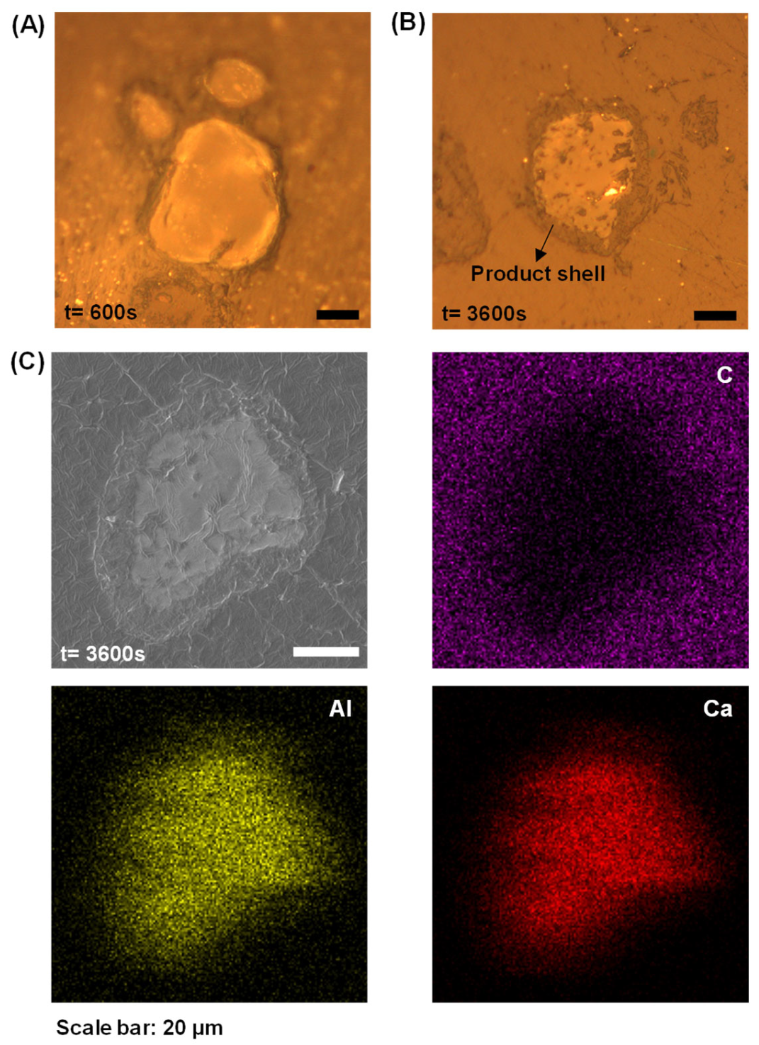 Materials 18 03560 g004