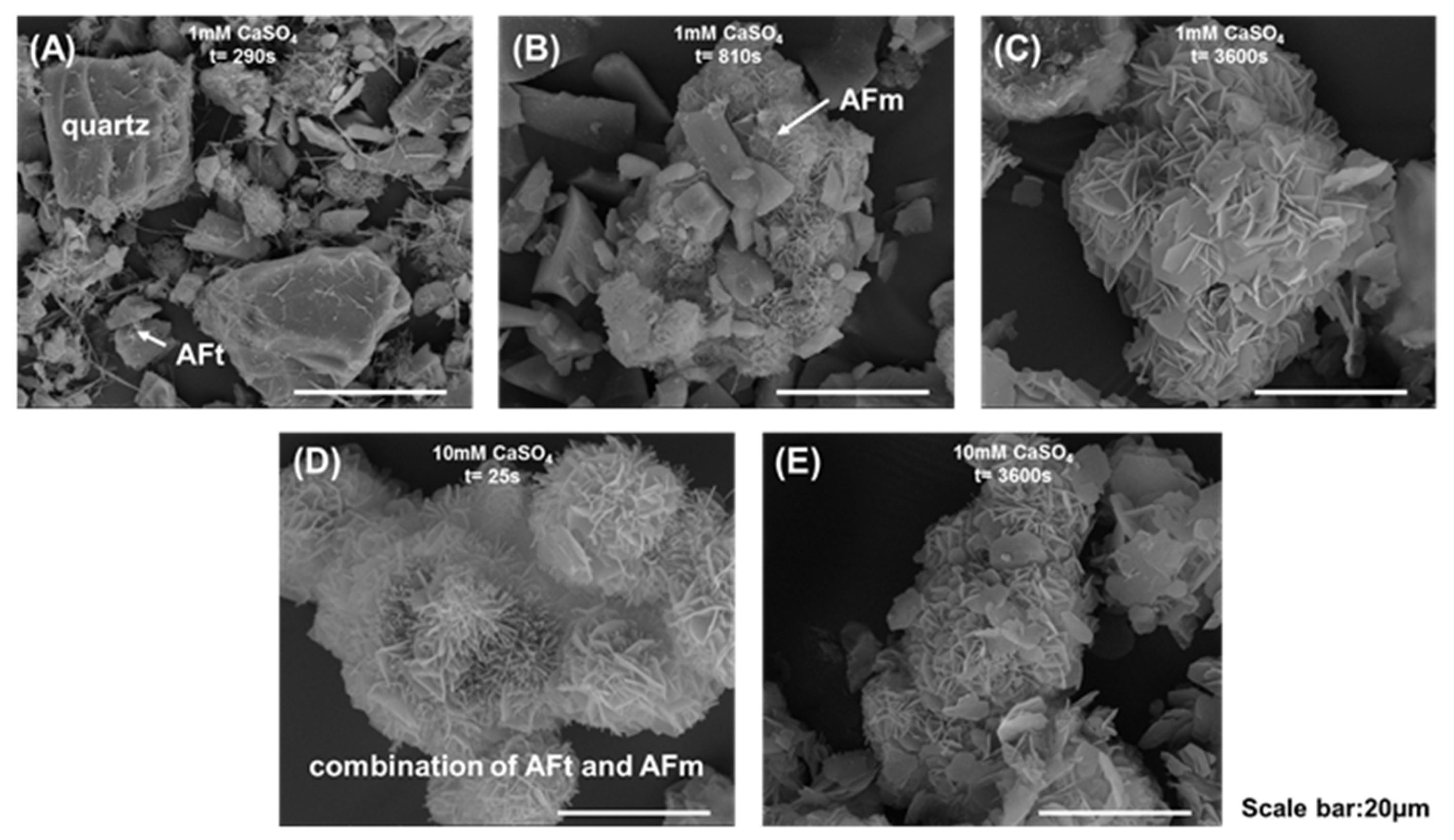Materials 18 03560 g009
