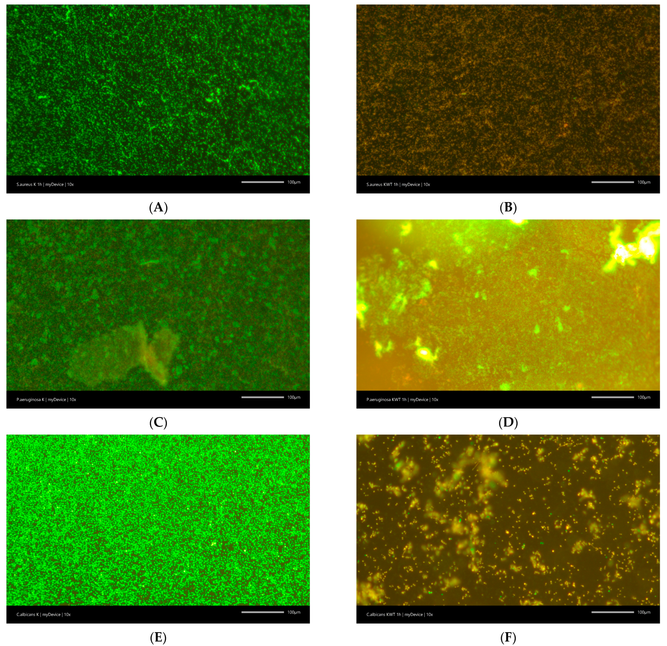 Materials 18 03567 g002