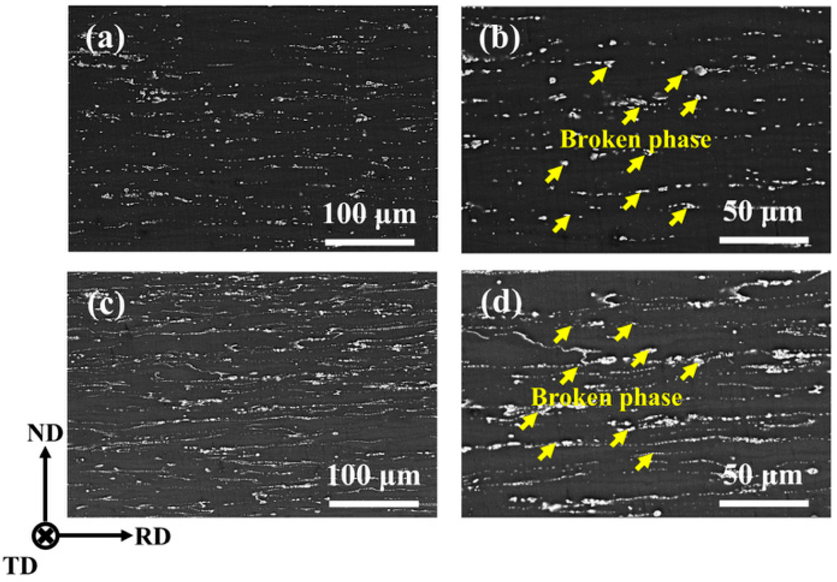 Materials 18 03578 g004