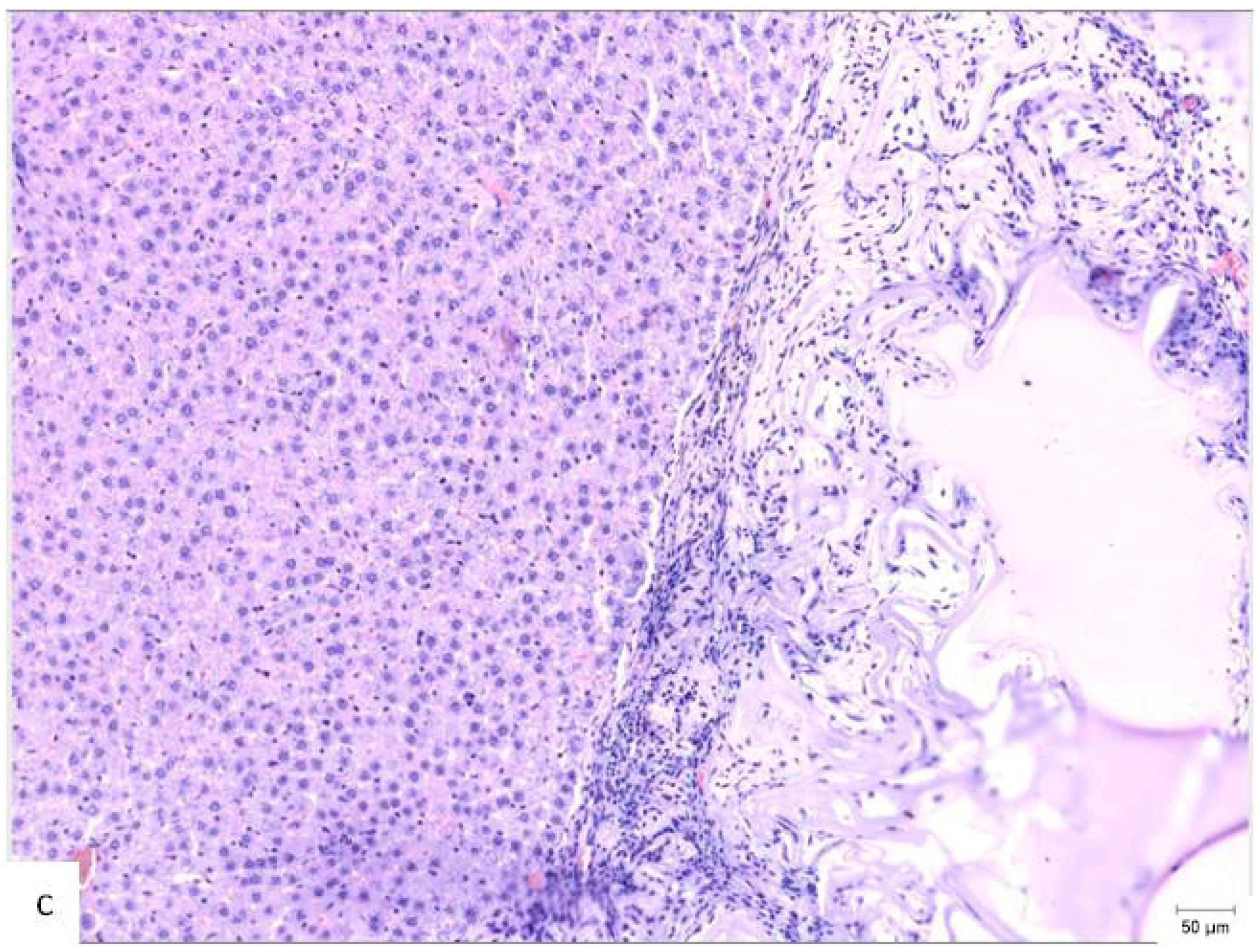 Materials 18 03581 g004c