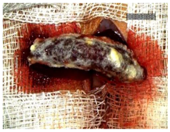 Materials 18 03581 i003