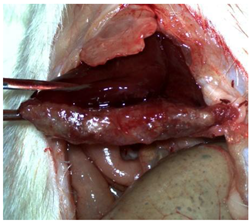 Materials 18 03581 i004