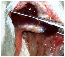 Materials 18 03581 i005