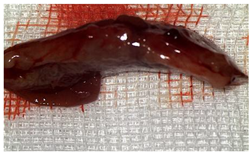 Materials 18 03581 i006