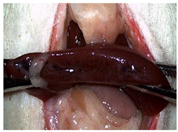 Materials 18 03581 i008