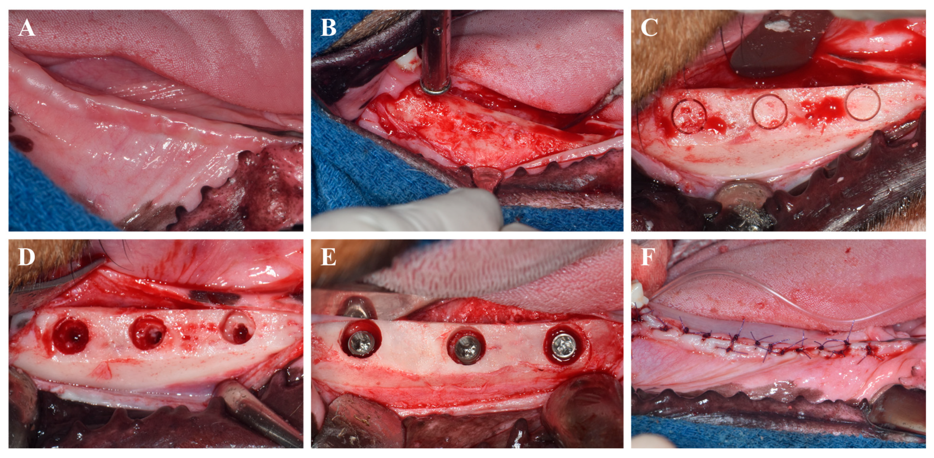 Materials 18 03582 g001 Materials 18 03582 g001