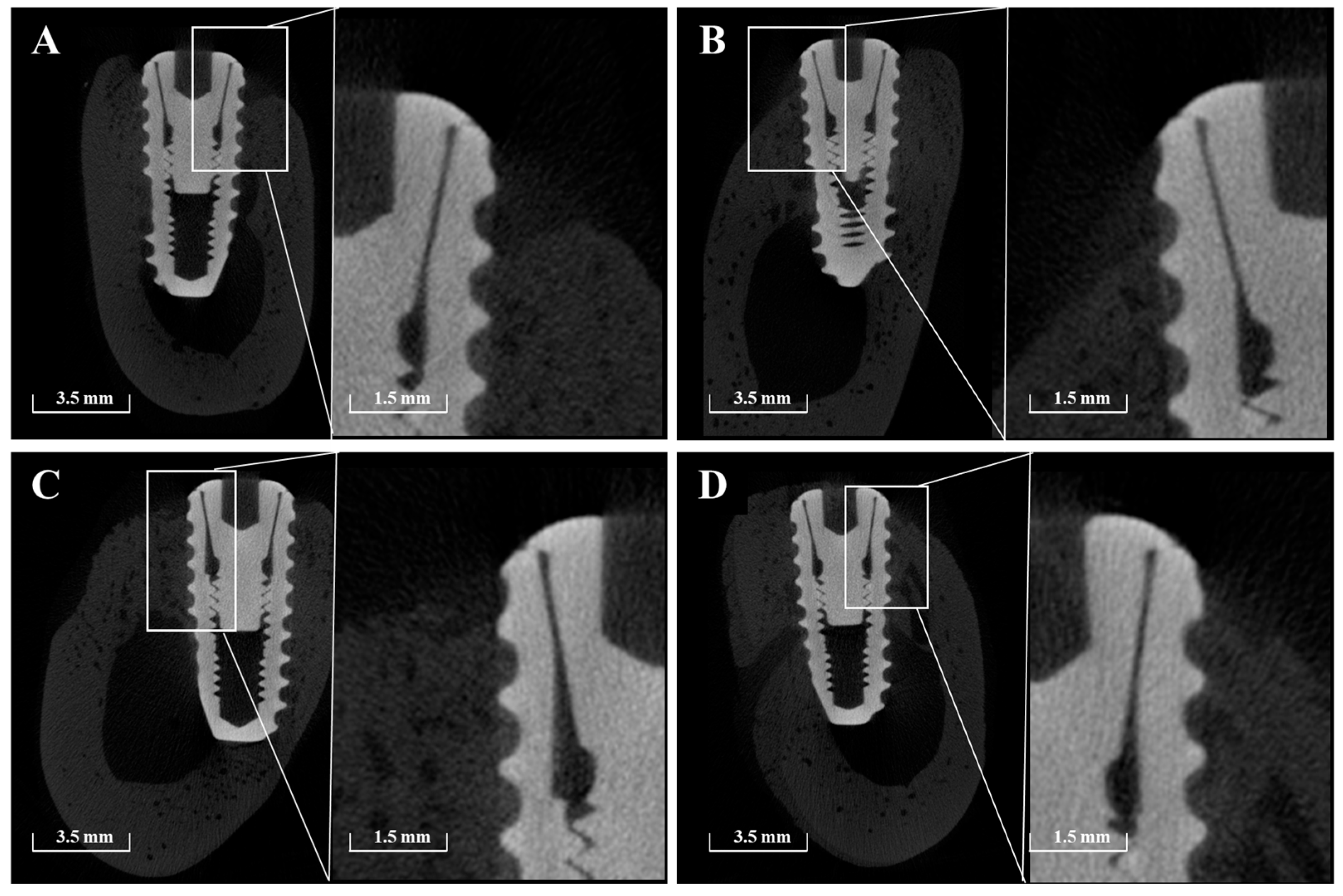 Materials 18 03582 g011 Materials 18 03582 g011