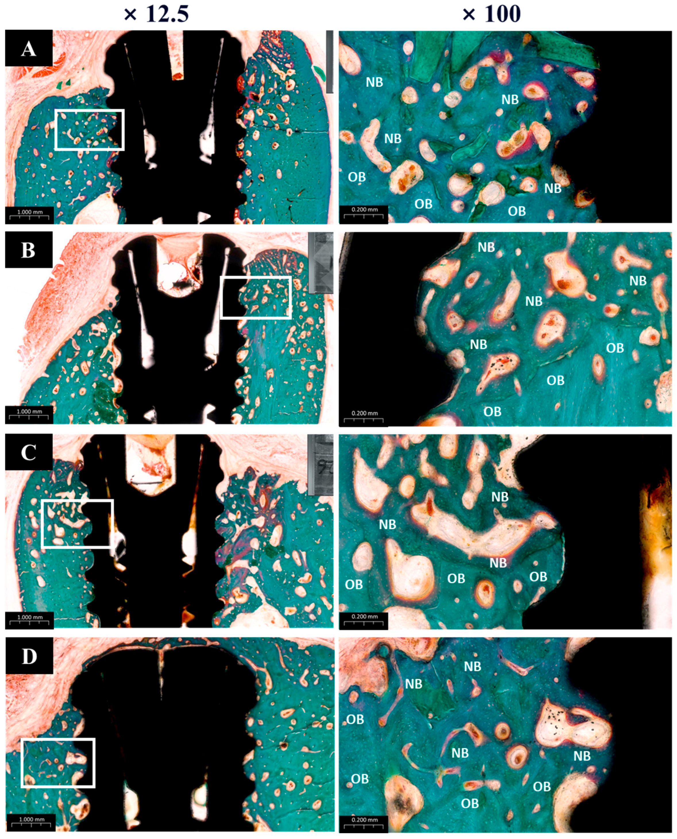 Materials 18 03582 g012 Materials 18 03582 g012