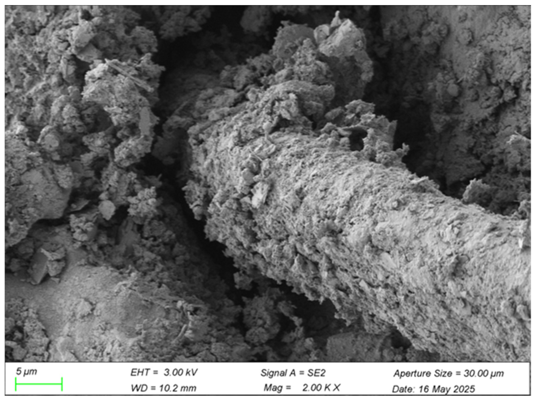 Materials 18 03586 g012