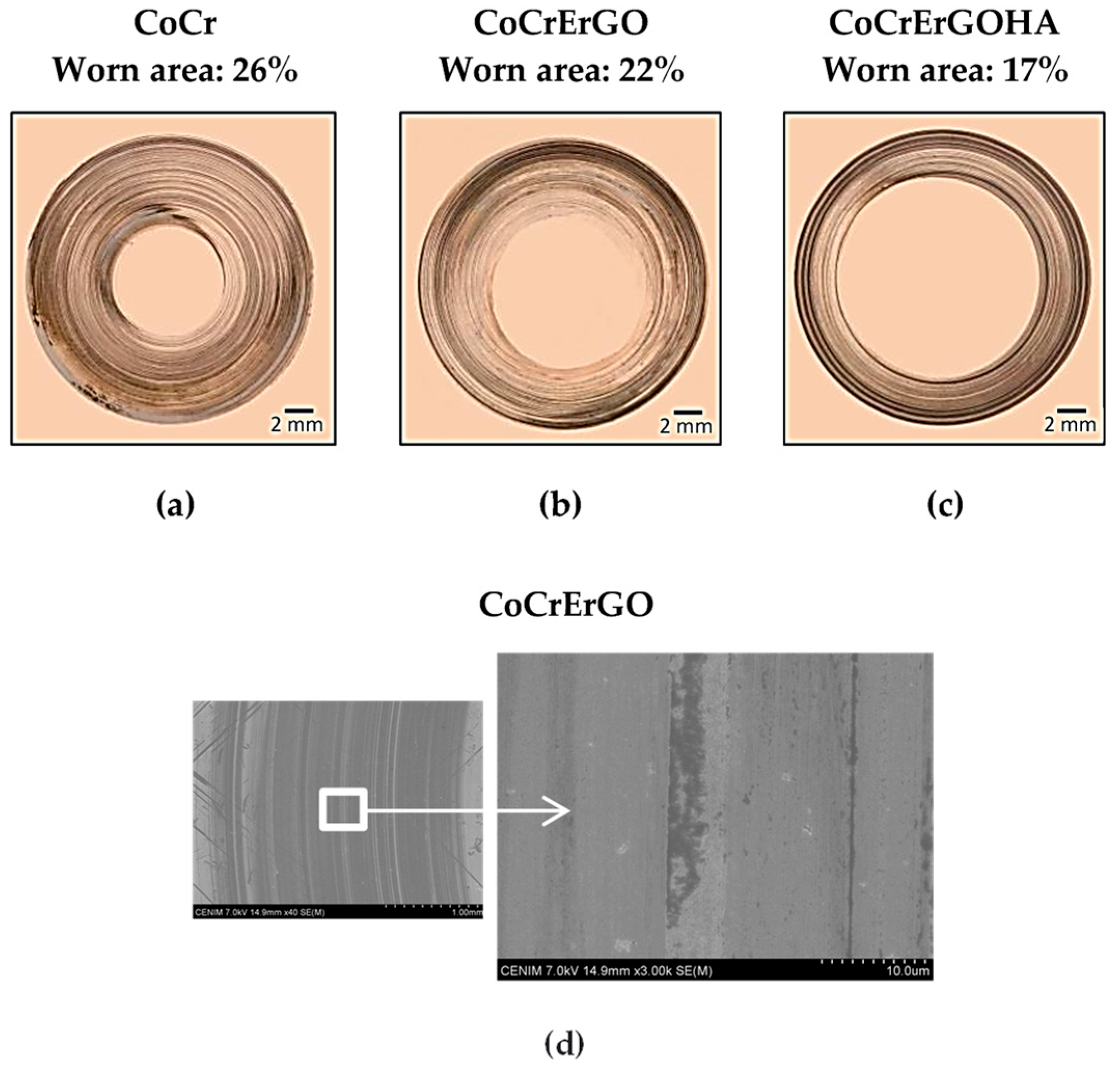 Materials 18 03587 g004