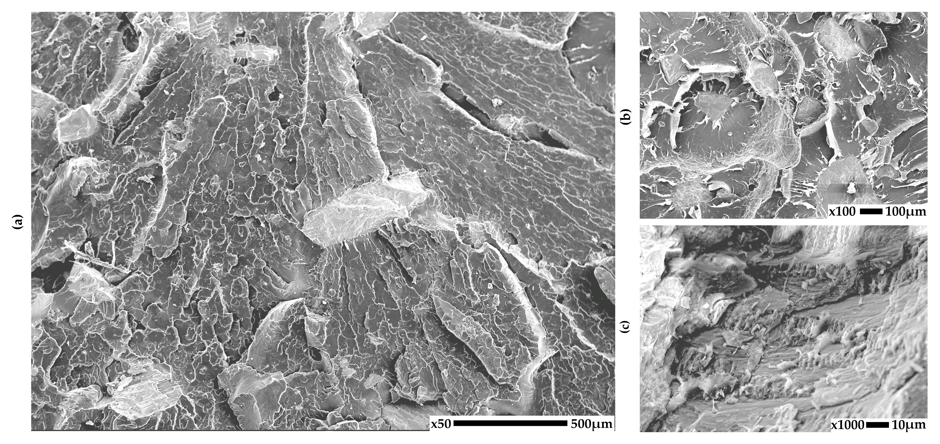 Materials 18 03608 g002