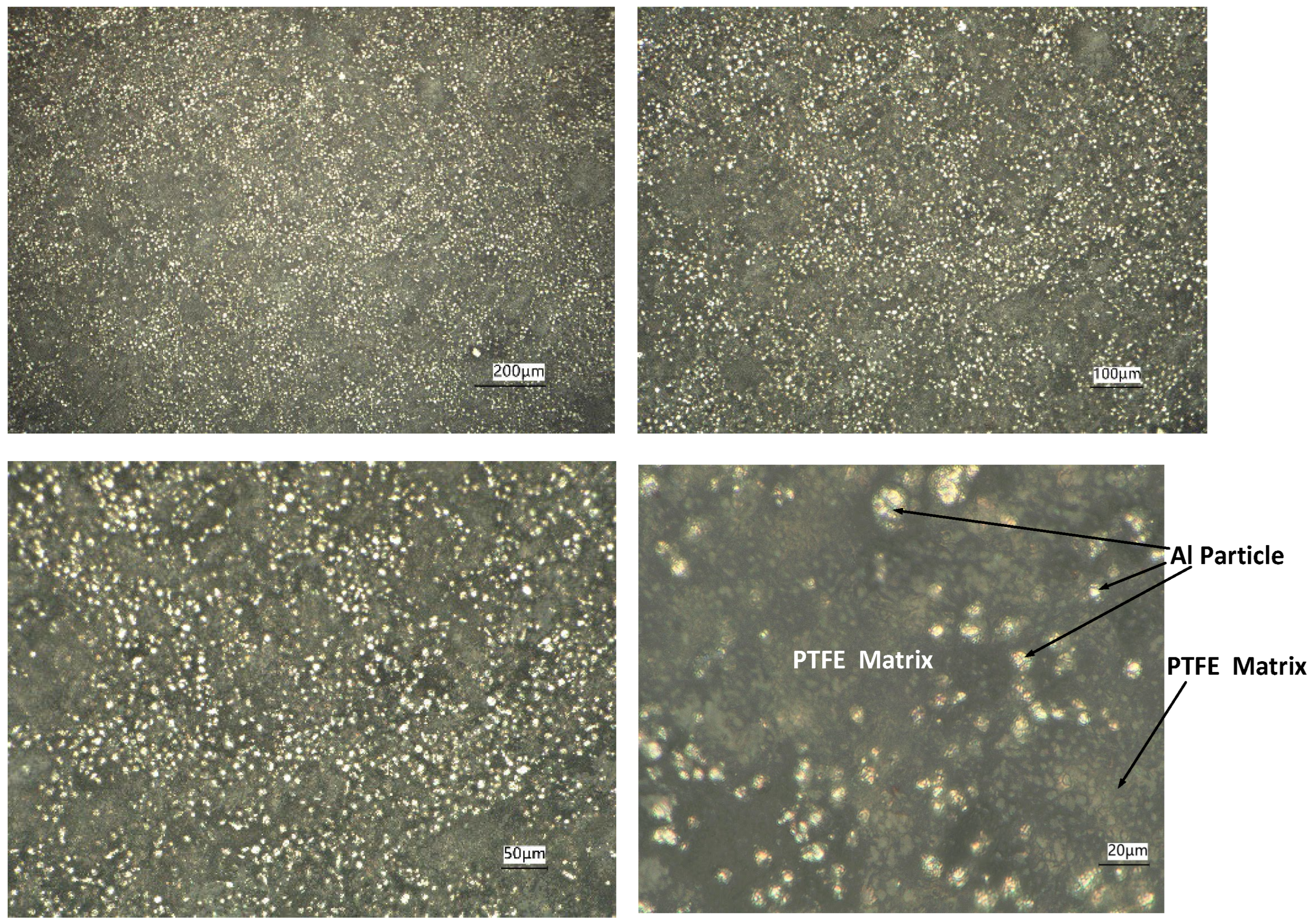 Materials 18 03615 g002