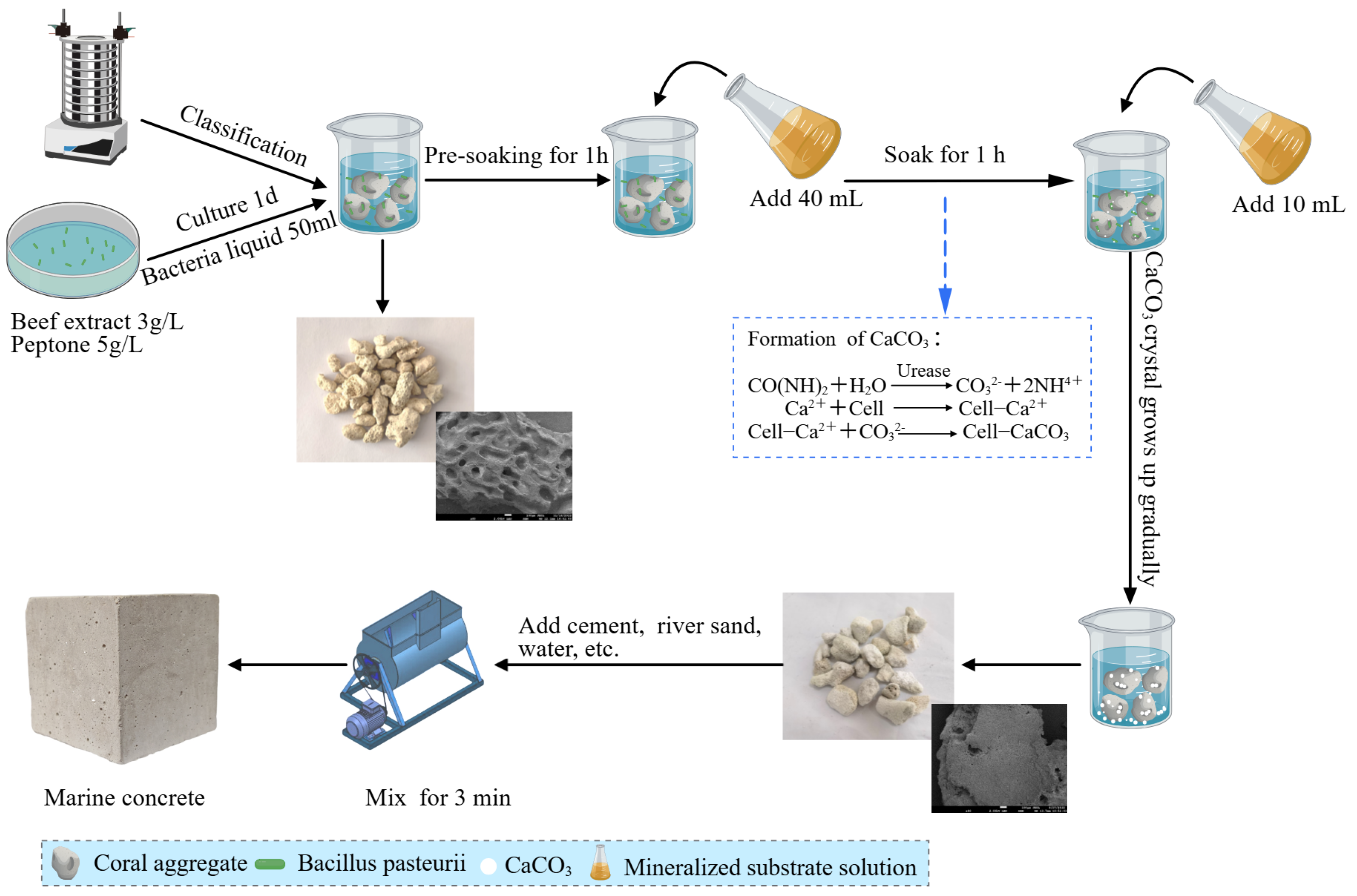 Materials 18 03619 g002