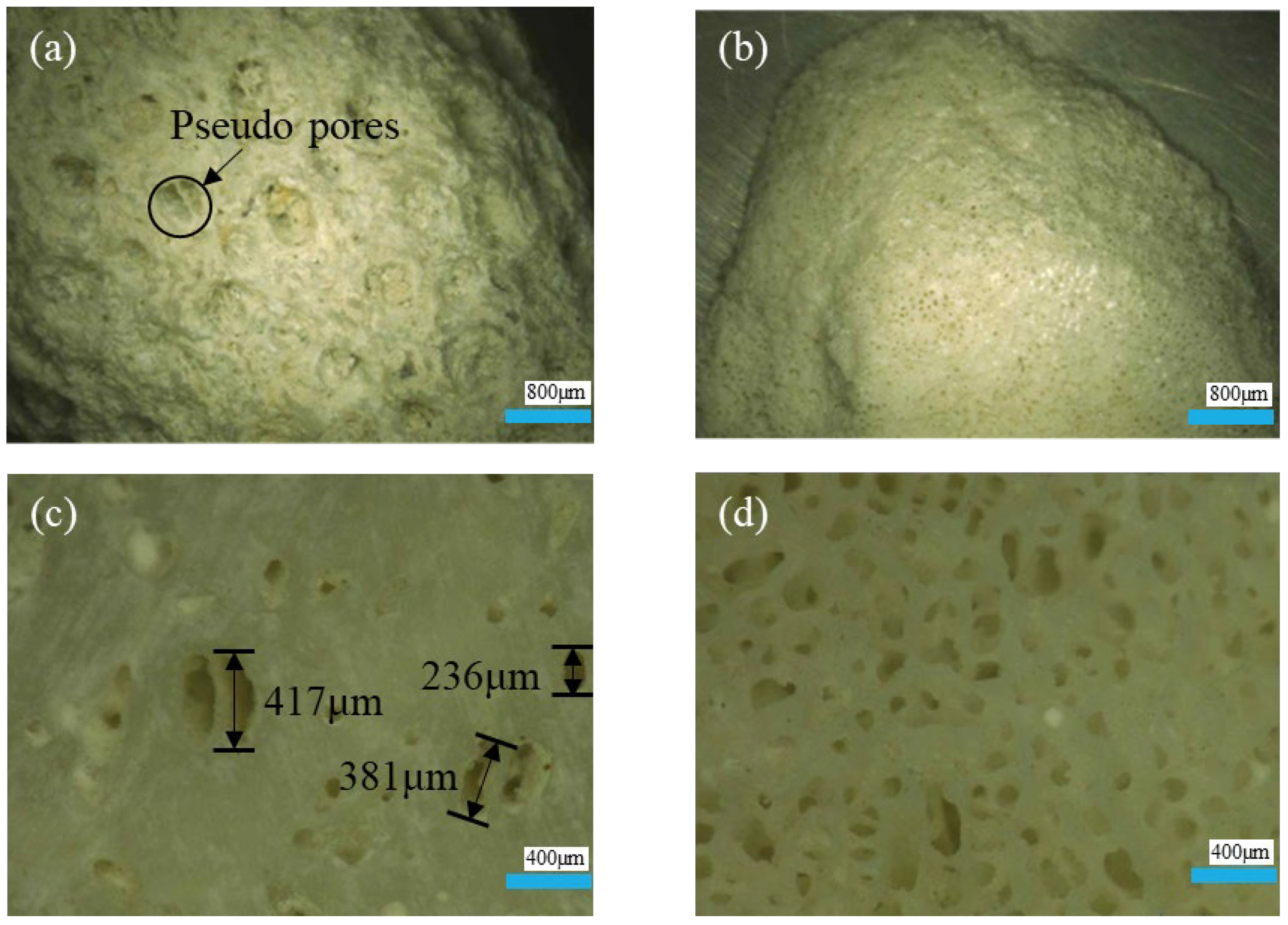 Materials 18 03619 g007