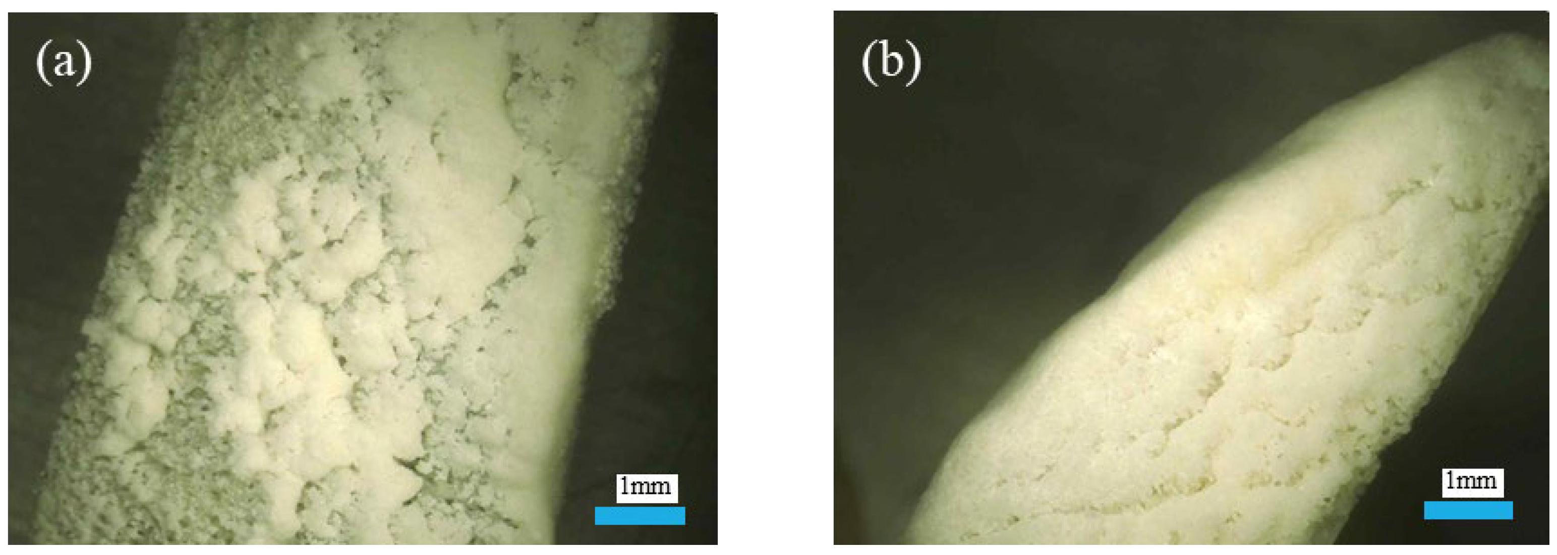 Materials 18 03619 g008