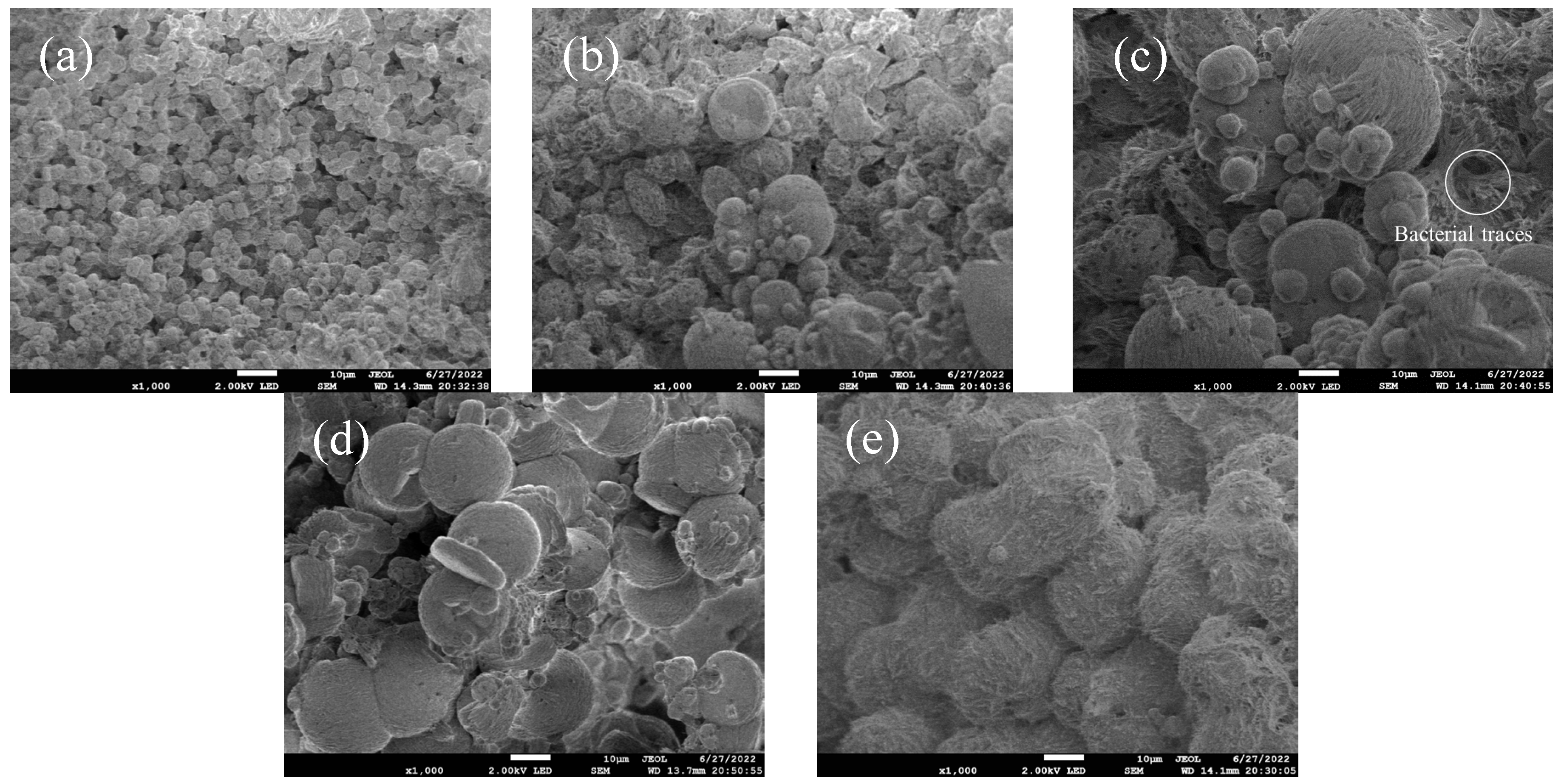 Materials 18 03619 g011