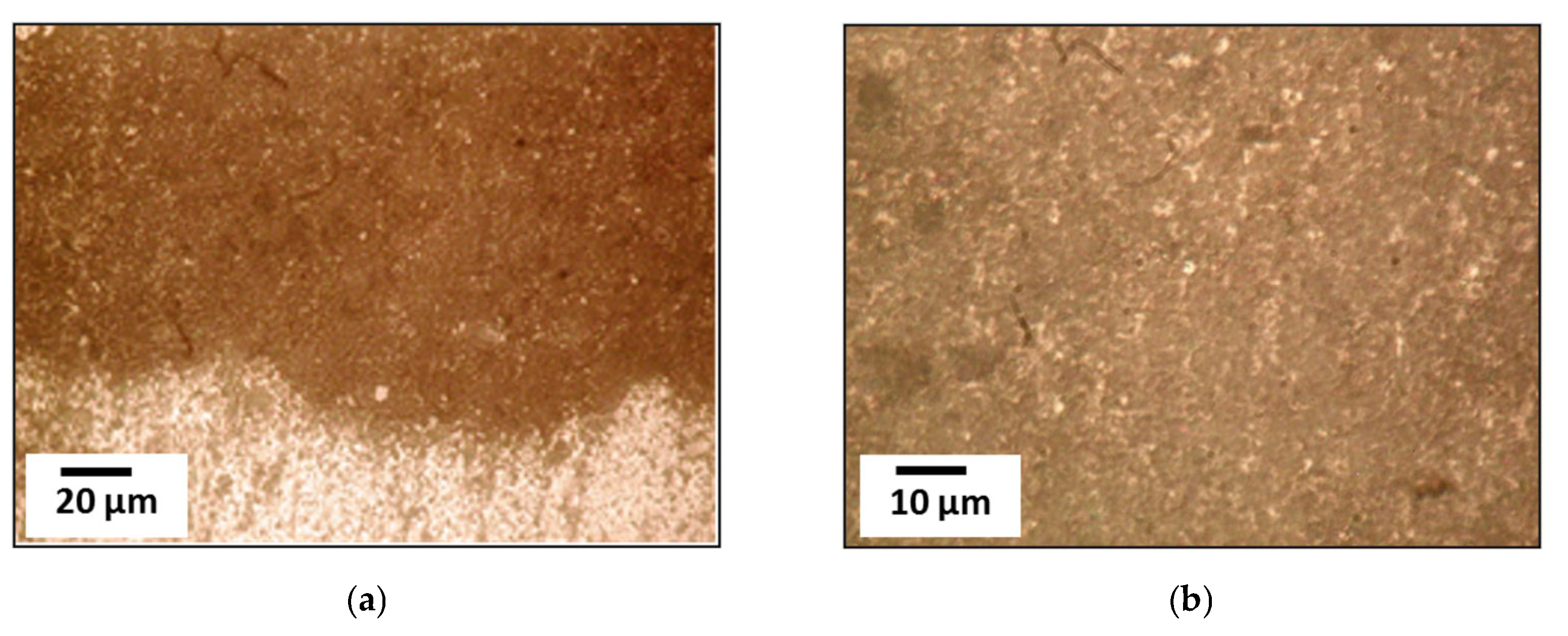 Materials 18 03620 g006