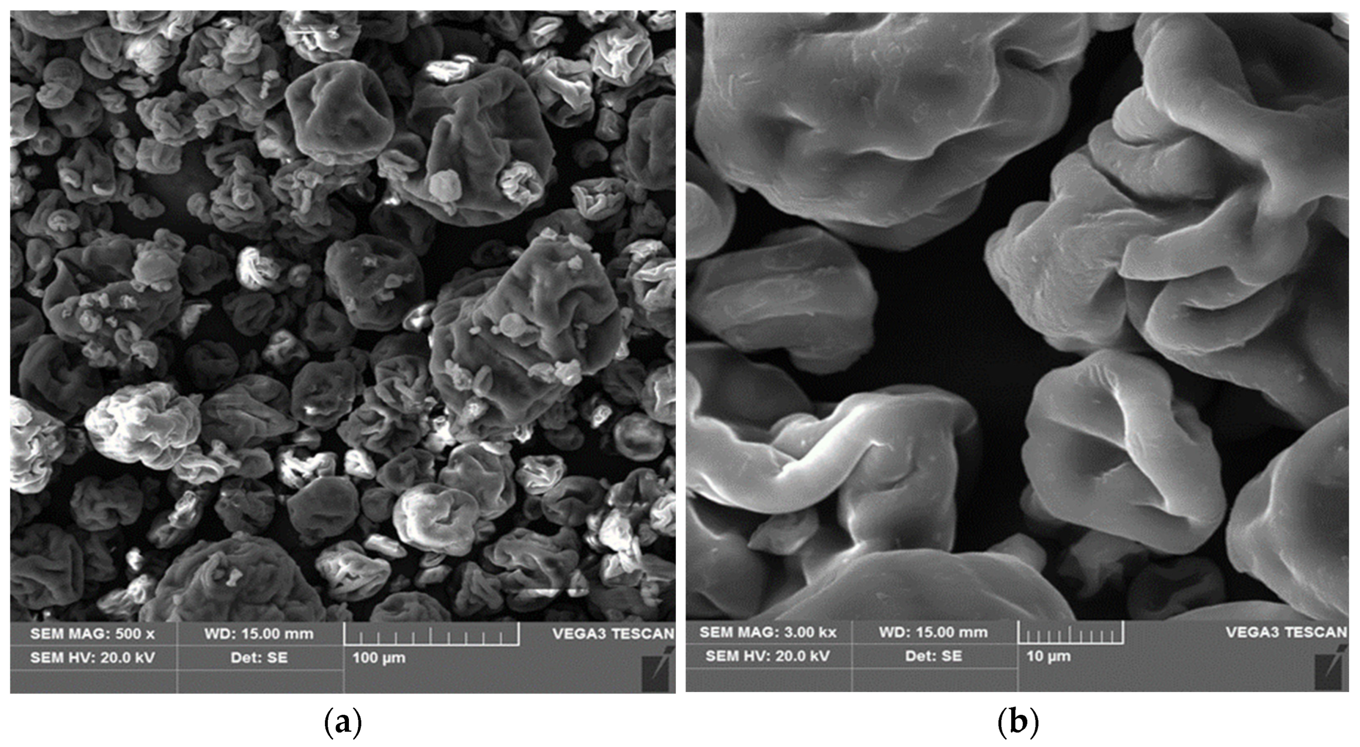 Materials 18 03639 g001 Materials 18 03639 g001