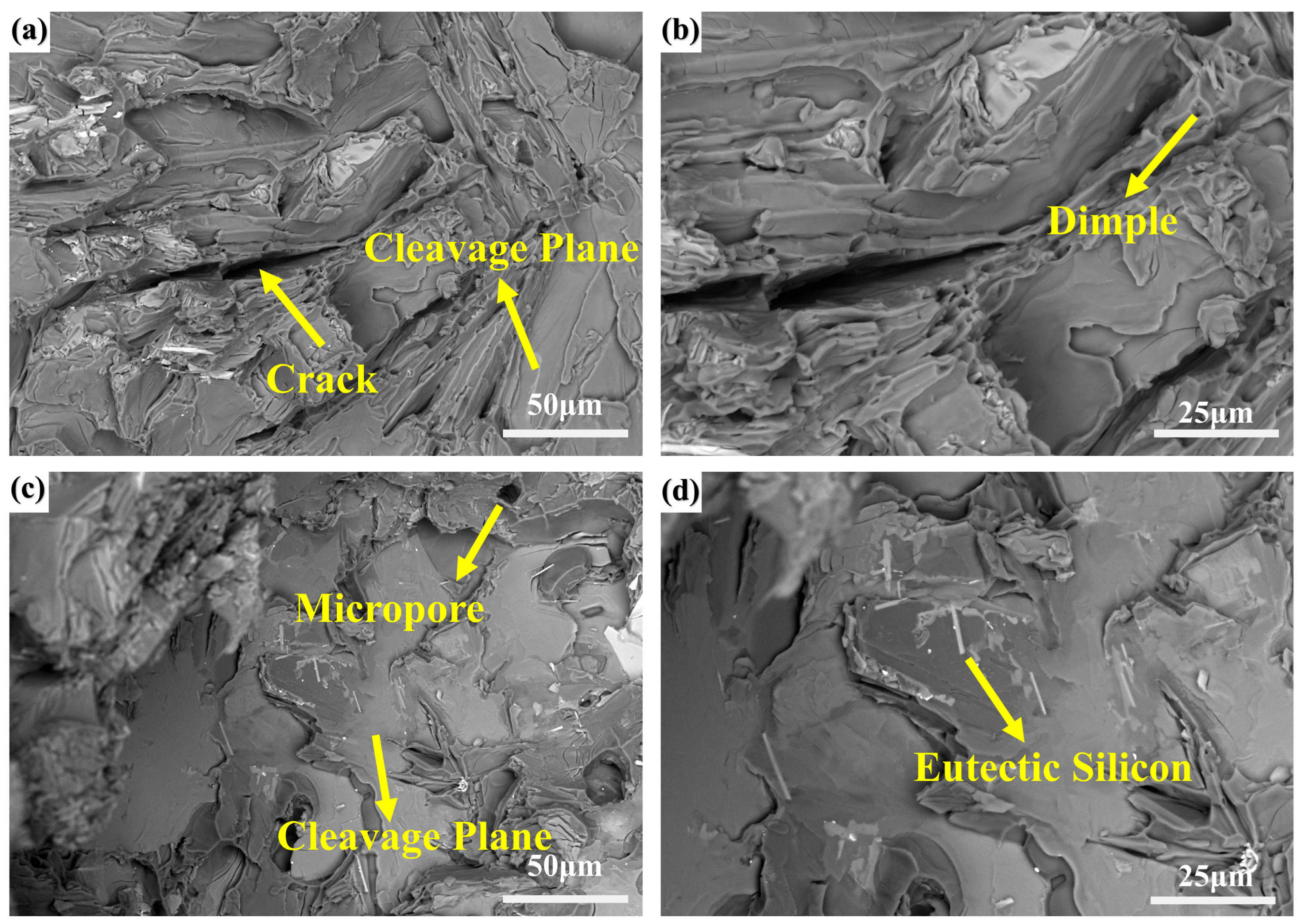Materials 18 03647 g008