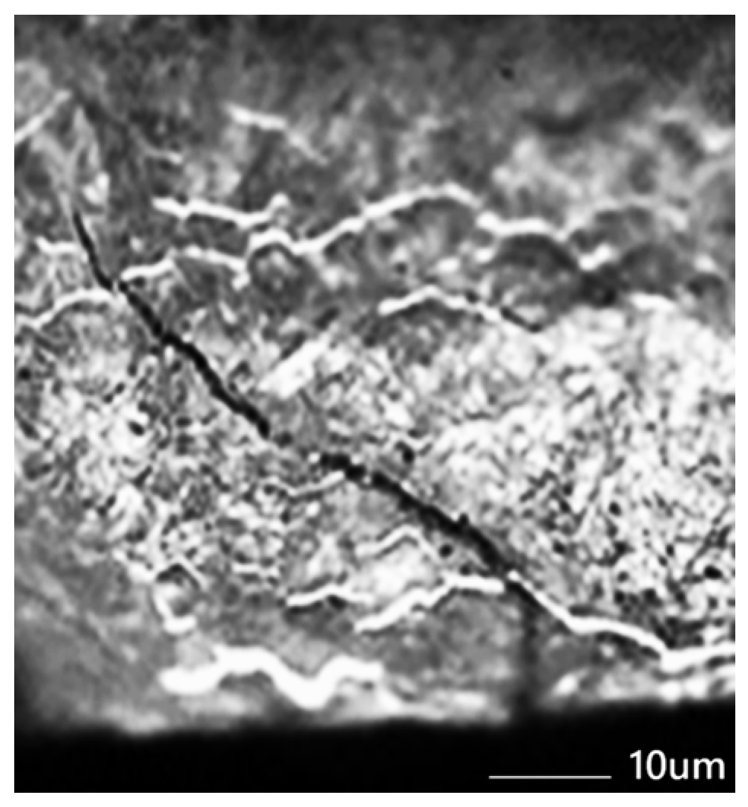 Materials 18 03669 g004 Materials 18 03669 g004