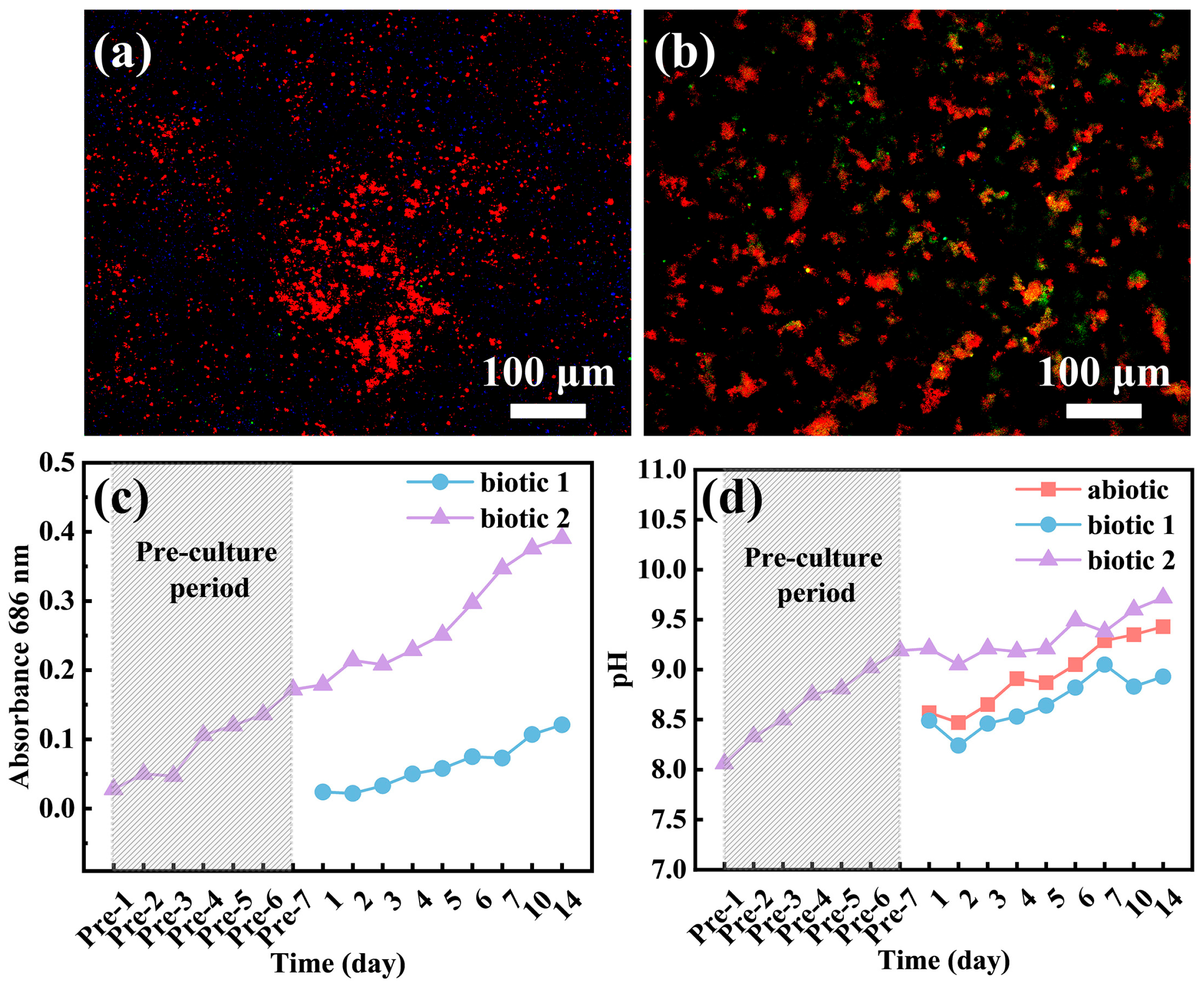 Materials 18 03698 g009 Materials 18 03698 g009