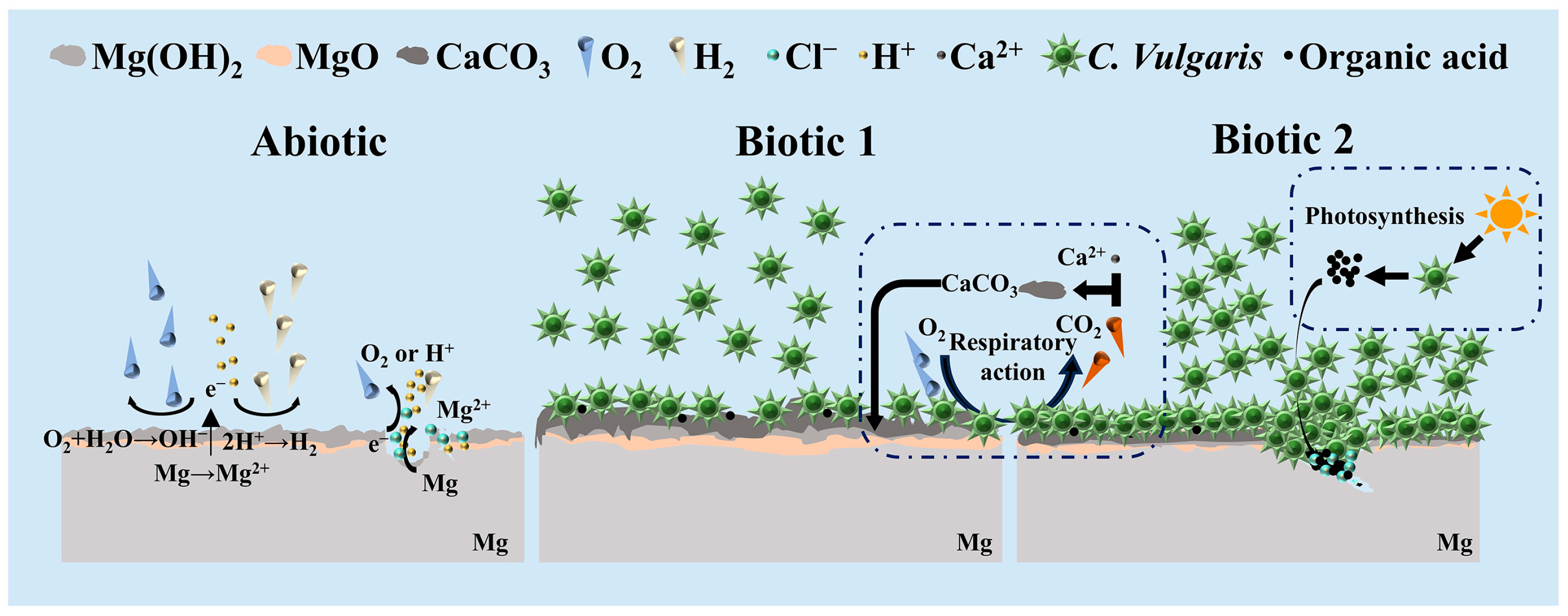 Materials 18 03698 g010 Materials 18 03698 g010
