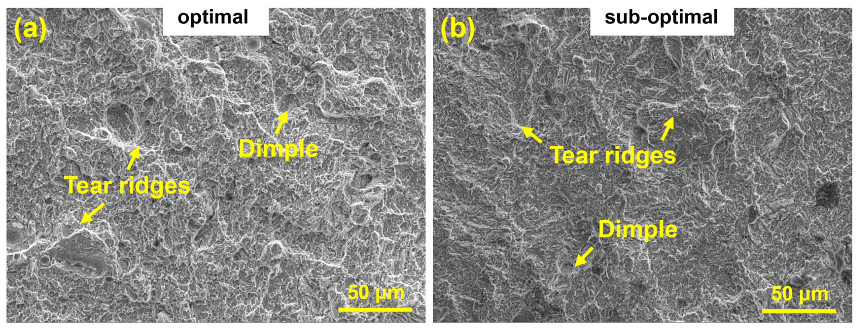 Materials 18 03705 g010