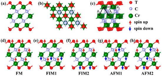 Spin-Polarized DFT+U Study of Surface-Functionalized Cr3C2