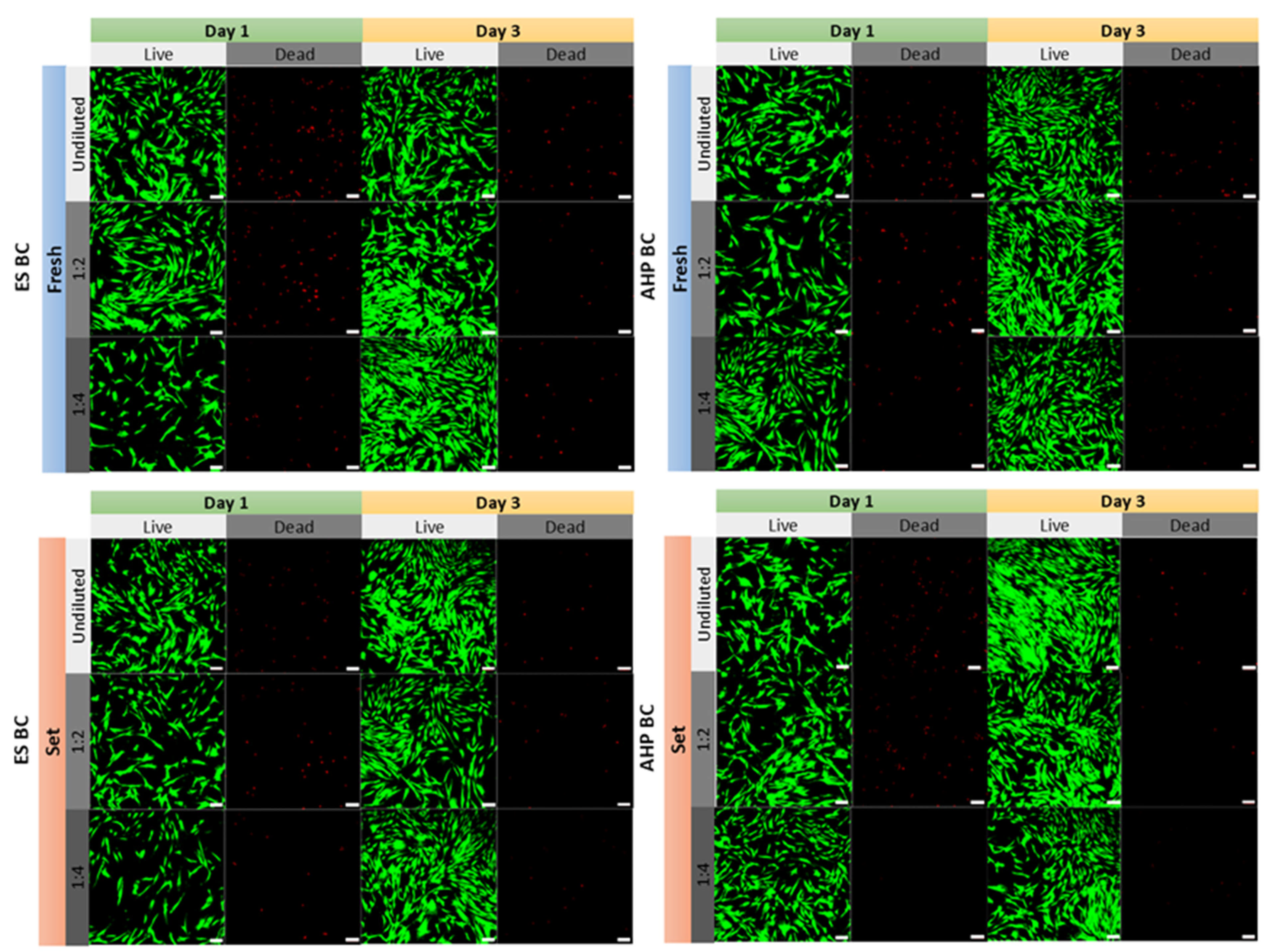 Materials 18 03717 g002 Materials 18 03717 g002