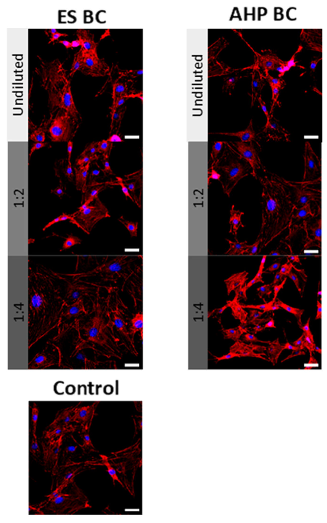 Materials 18 03717 g003 Materials 18 03717 g003