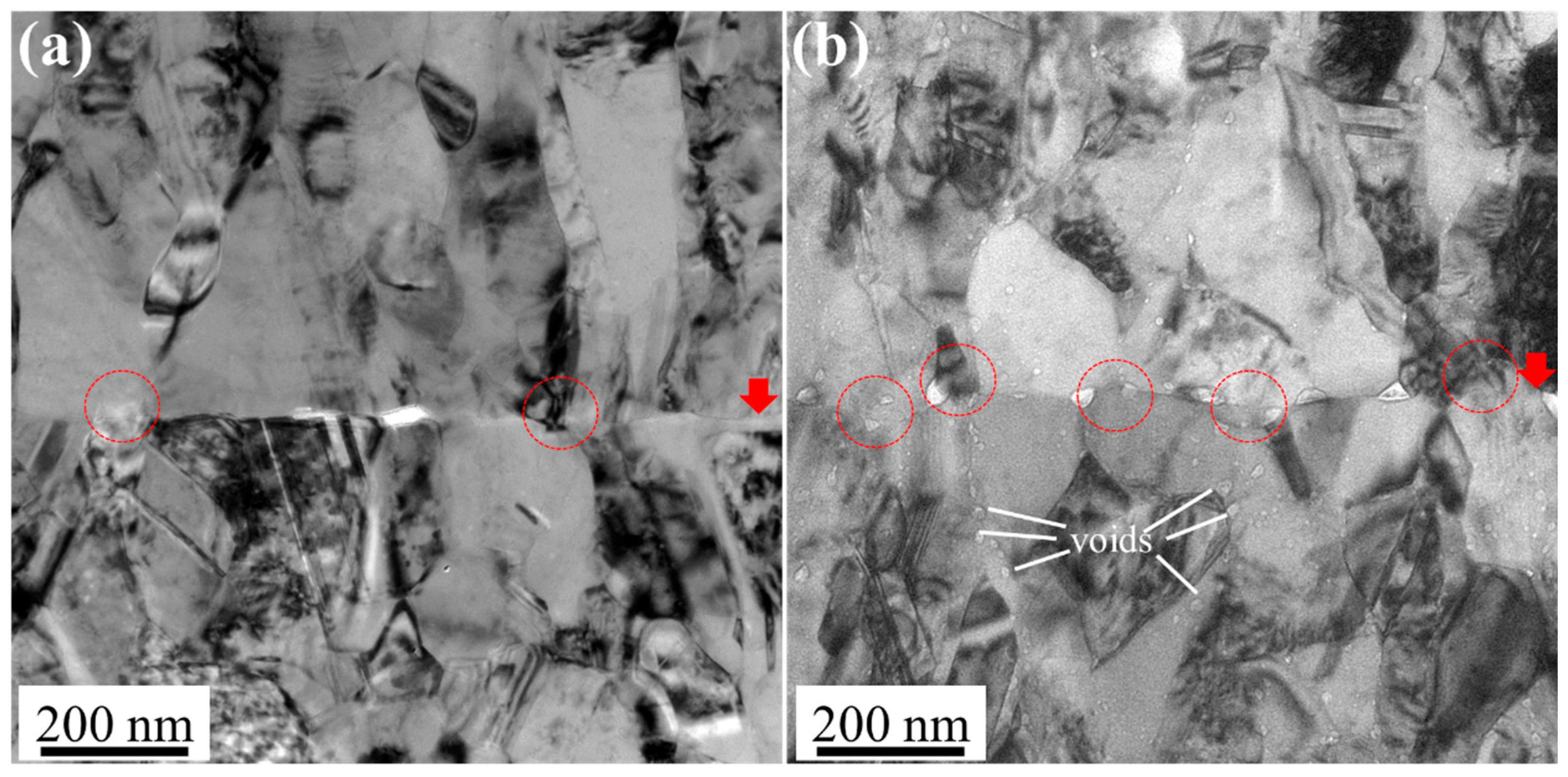Materials 18 03725 g010