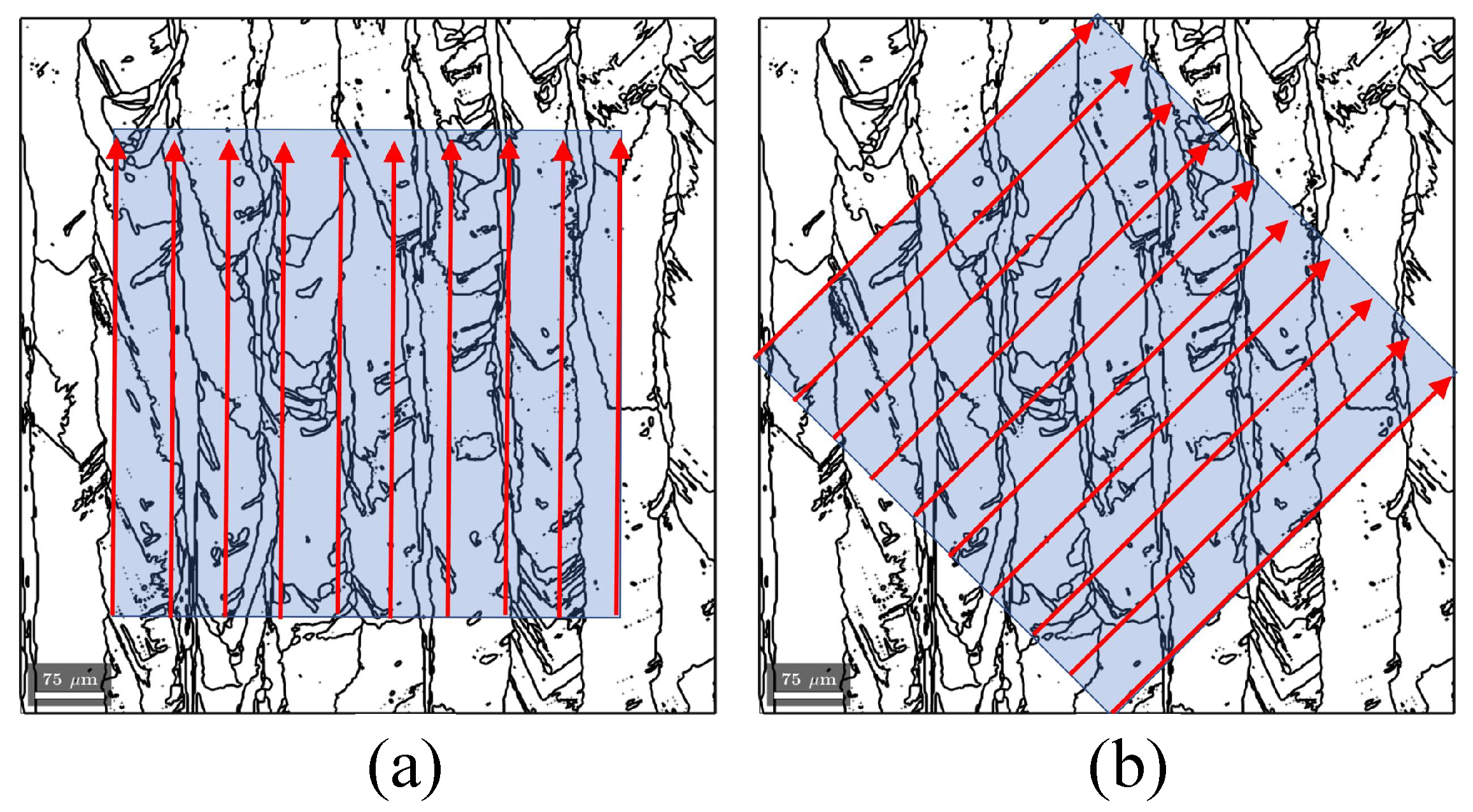 Materials 18 03737 g002