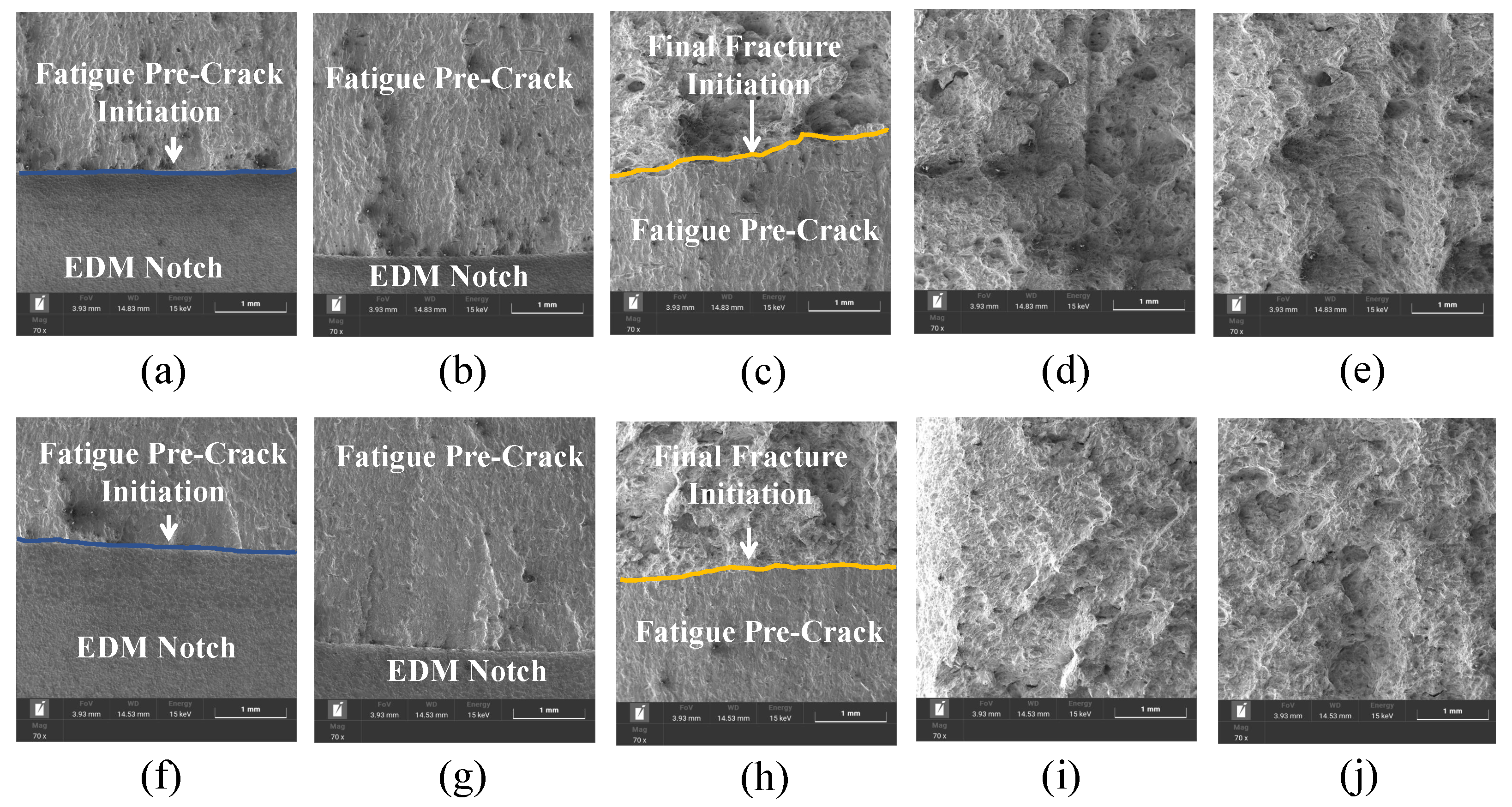 Effect of Microstructure and Crystallographic Texture on the