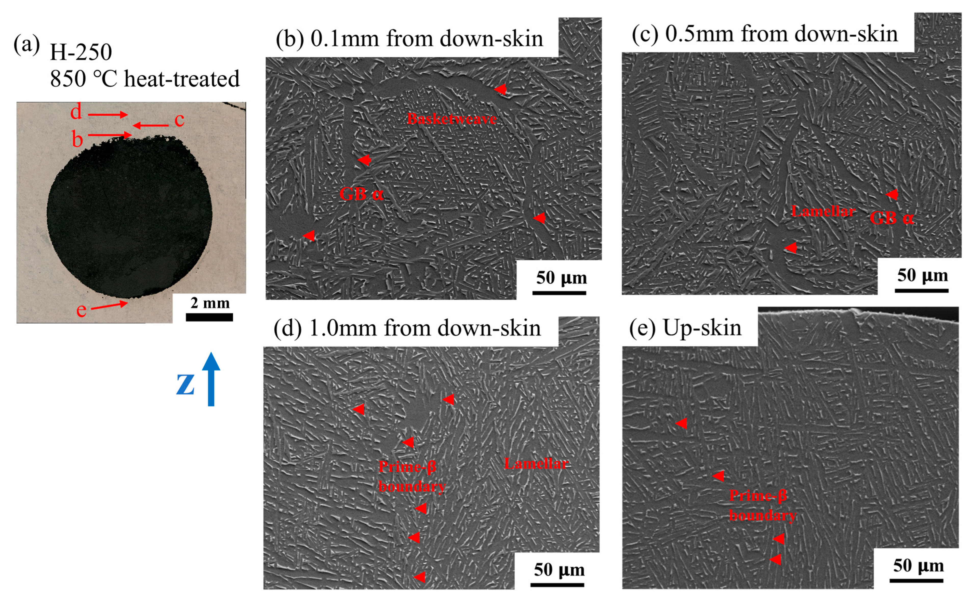 Materials 18 03756 g009