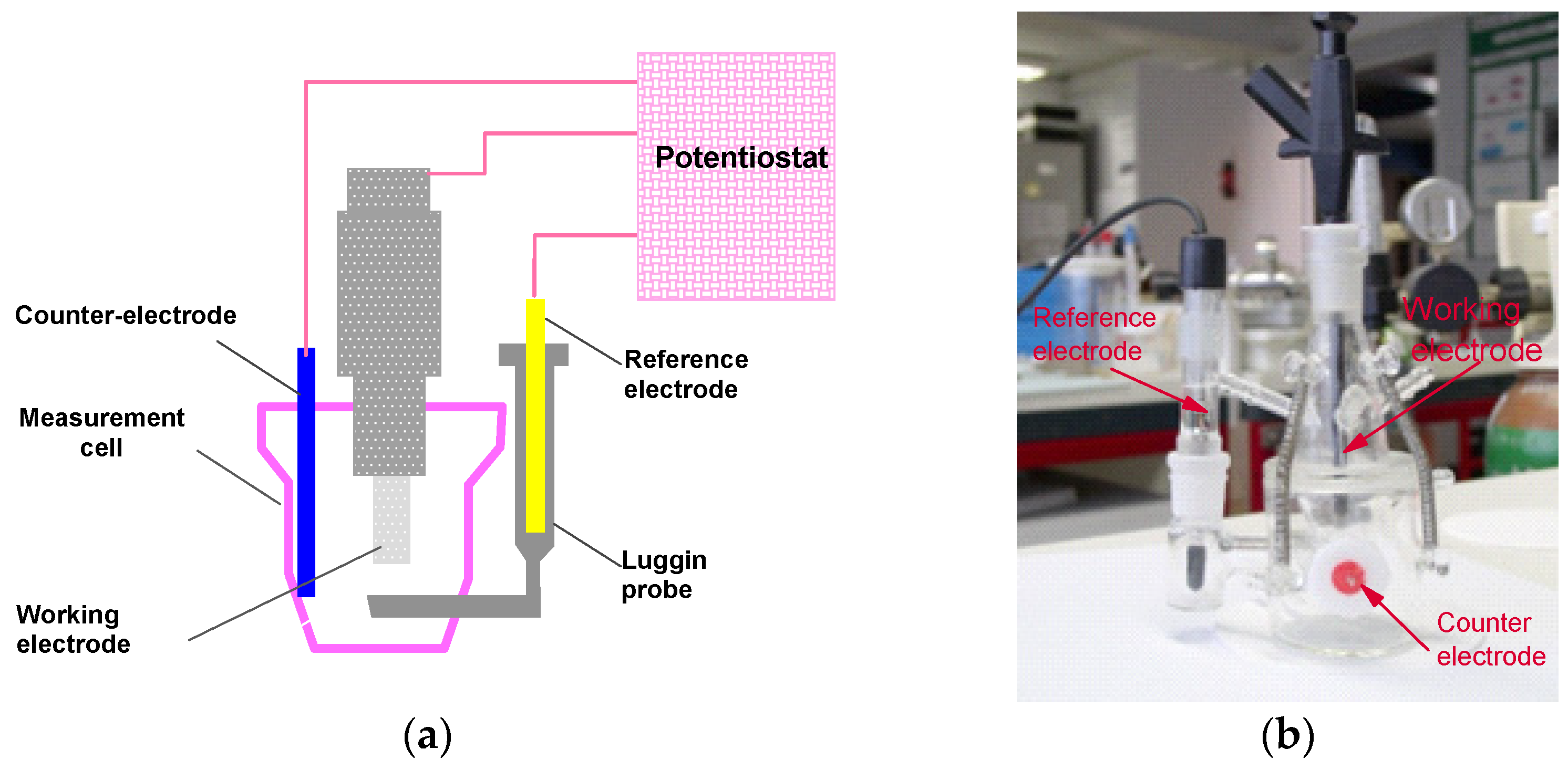 Materials 18 03769 g004