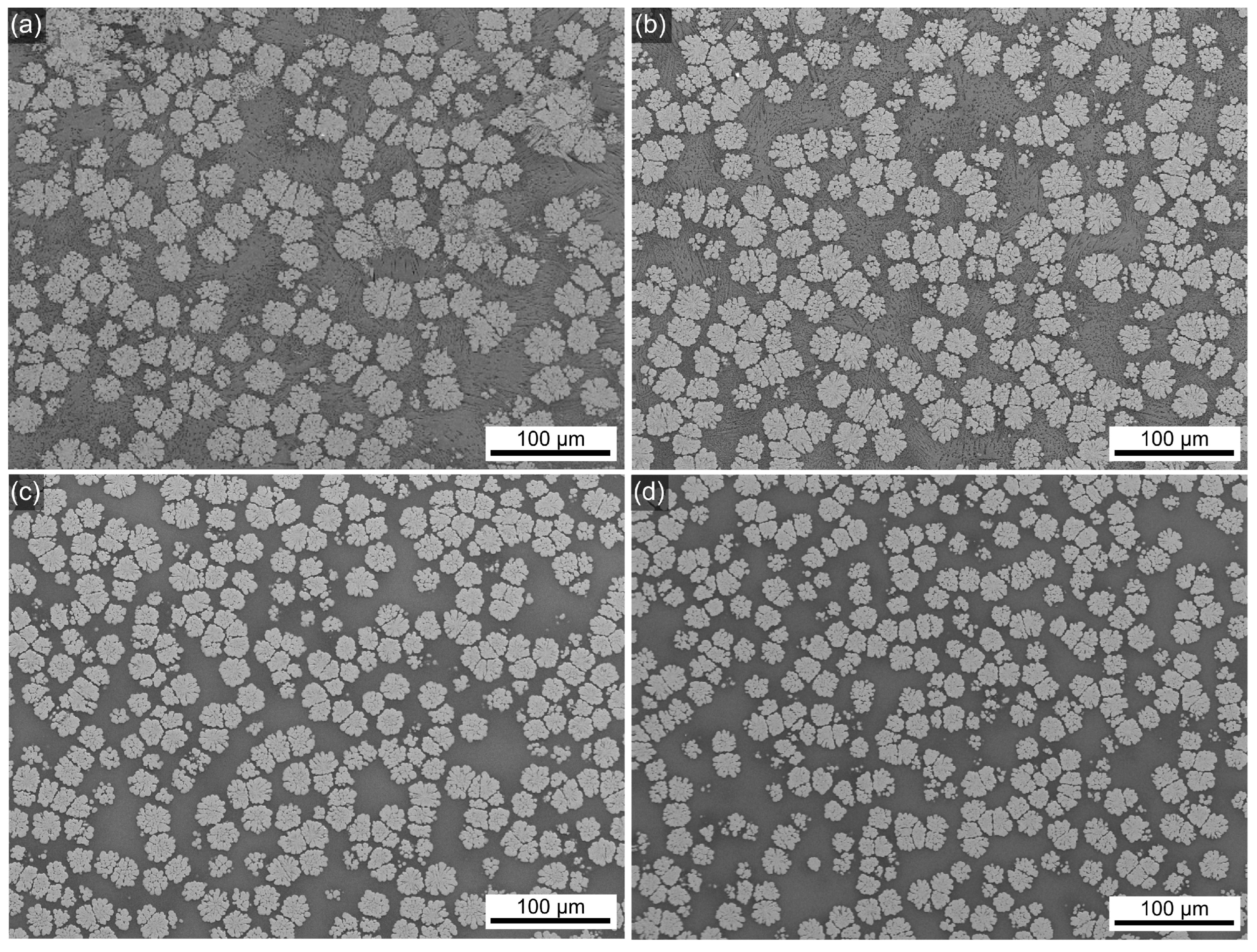 Materials 18 03783 g003 Materials 18 03783 g003