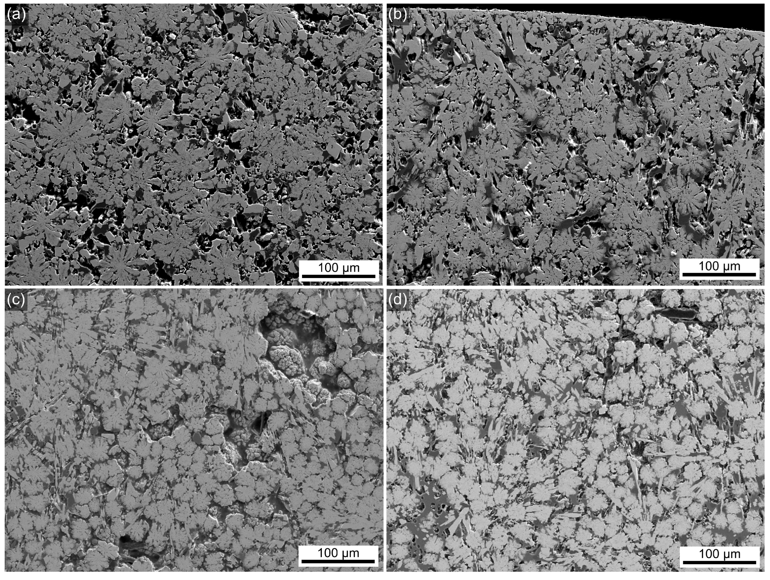 Materials 18 03783 g005 Materials 18 03783 g005