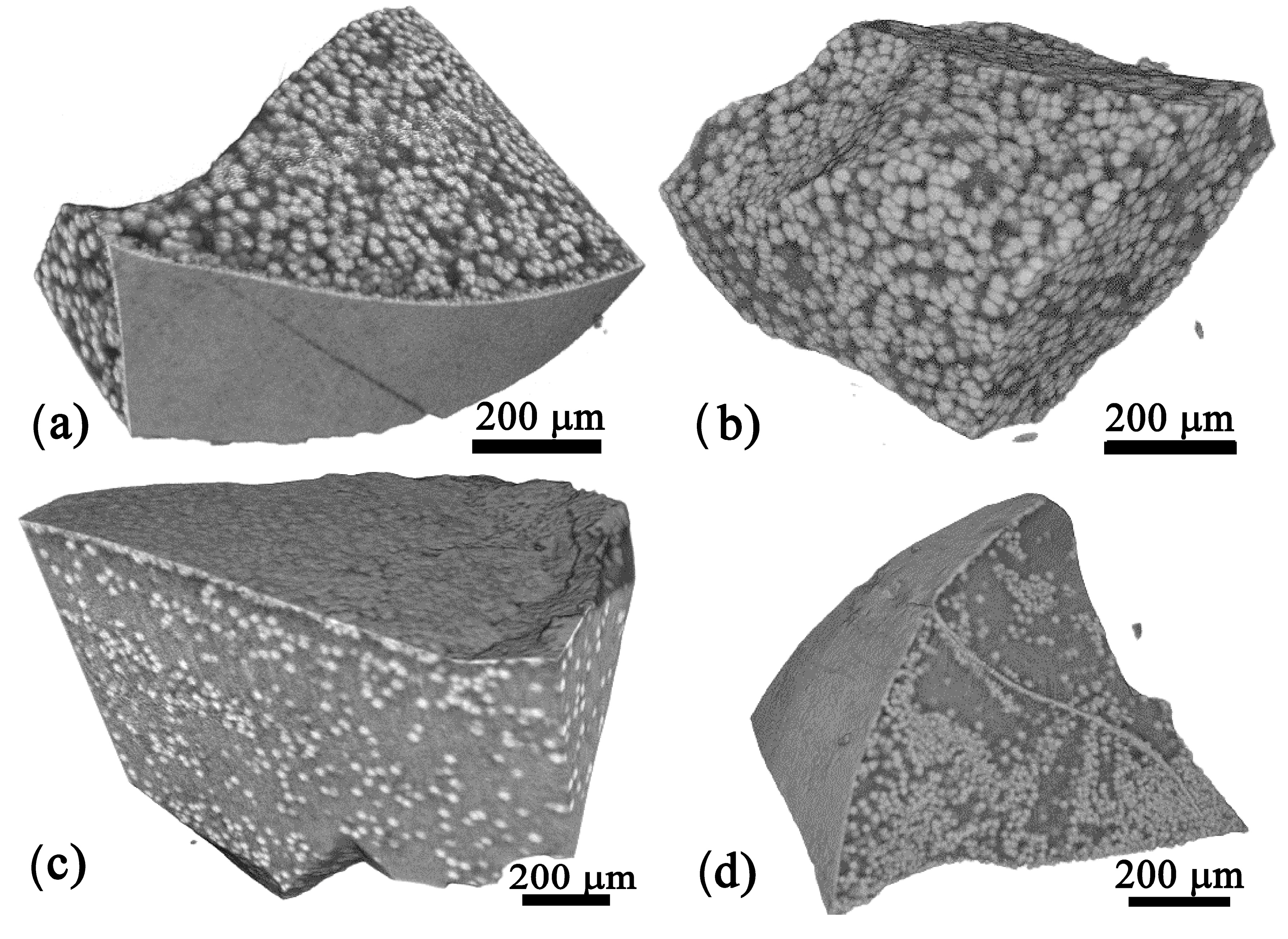 Materials 18 03783 g008 Materials 18 03783 g008