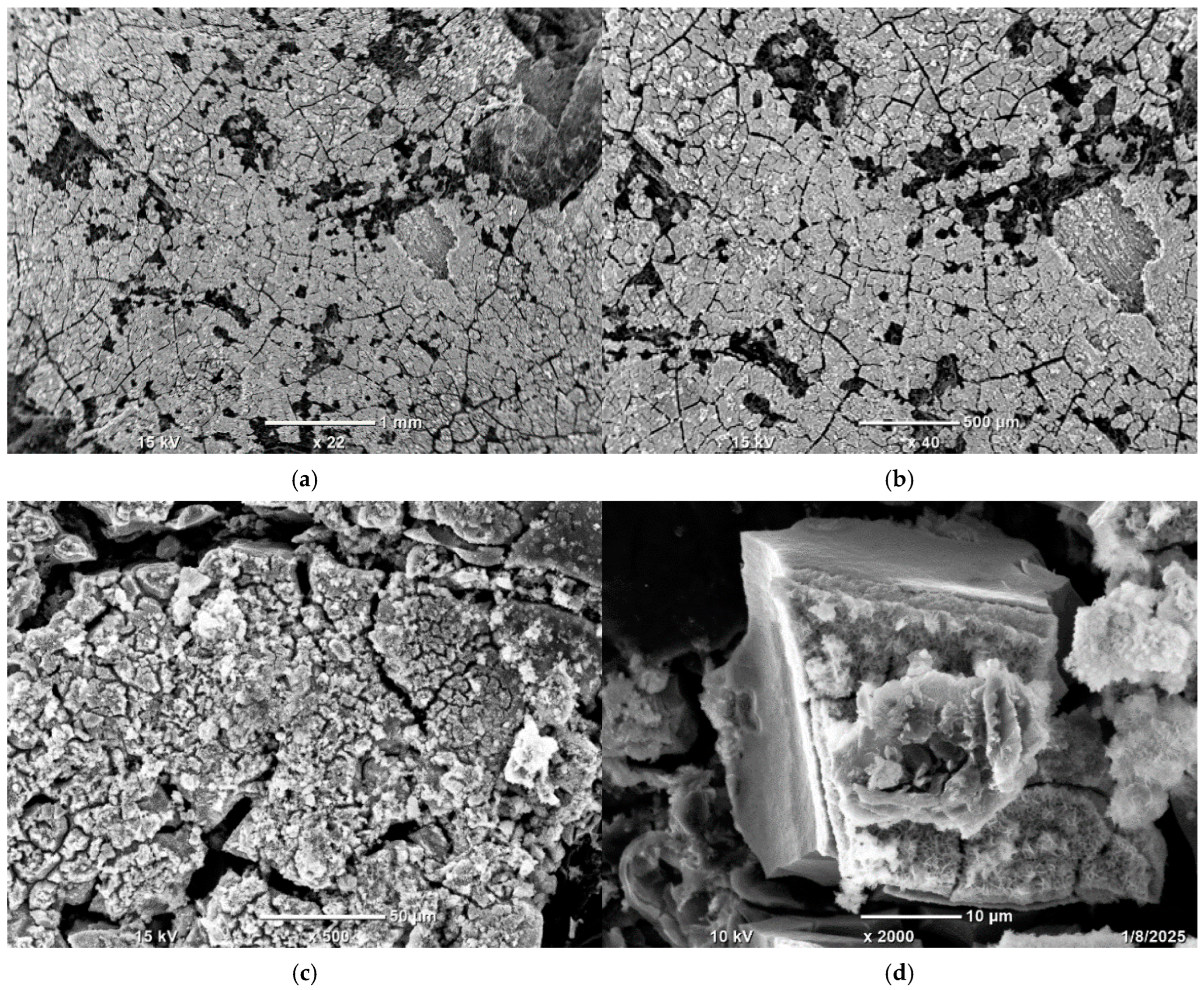 Materials 18 03784 g004 Materials 18 03784 g004