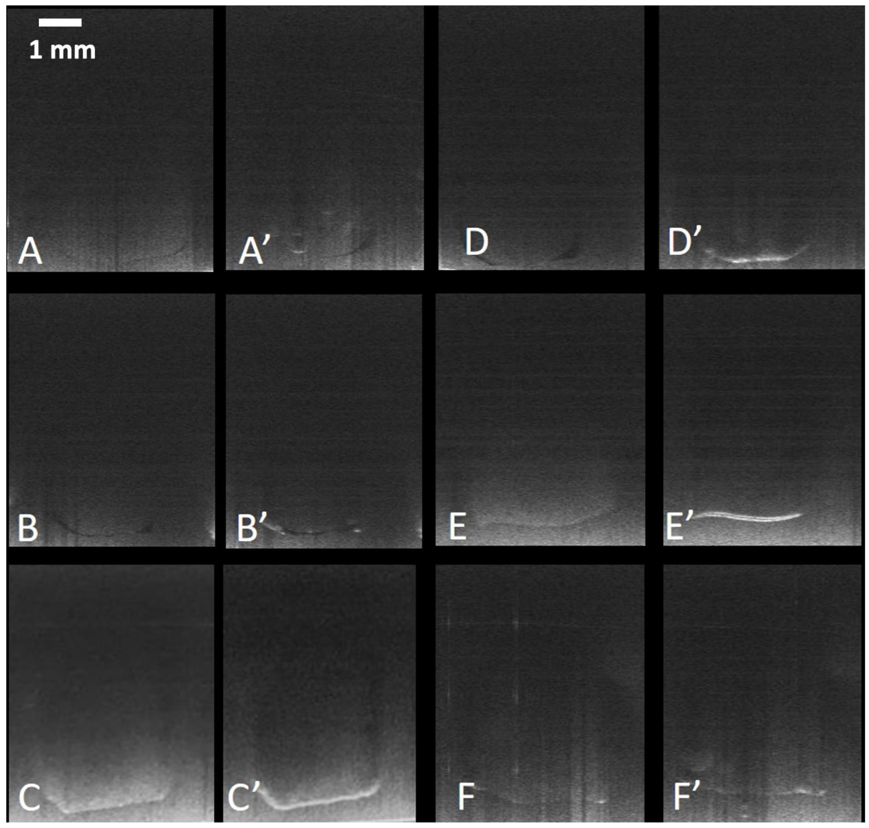 Materials 18 03790 g003