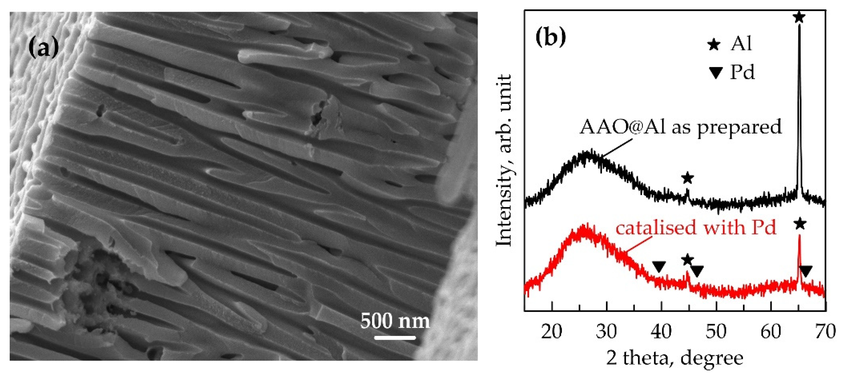 Materials 18 03797 g001 Materials 18 03797 g001