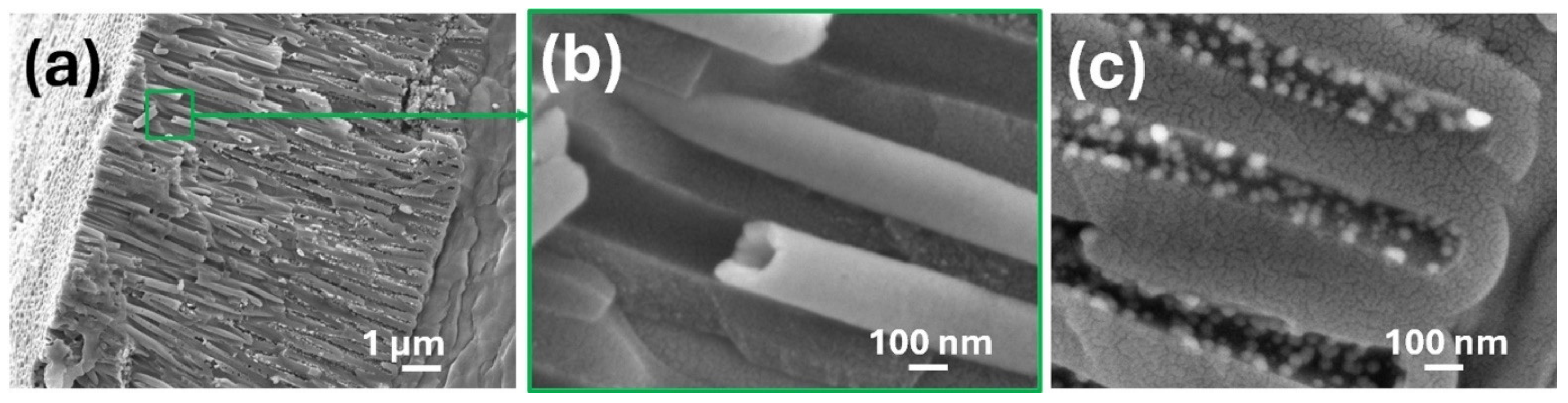 Materials 18 03797 g005 Materials 18 03797 g005