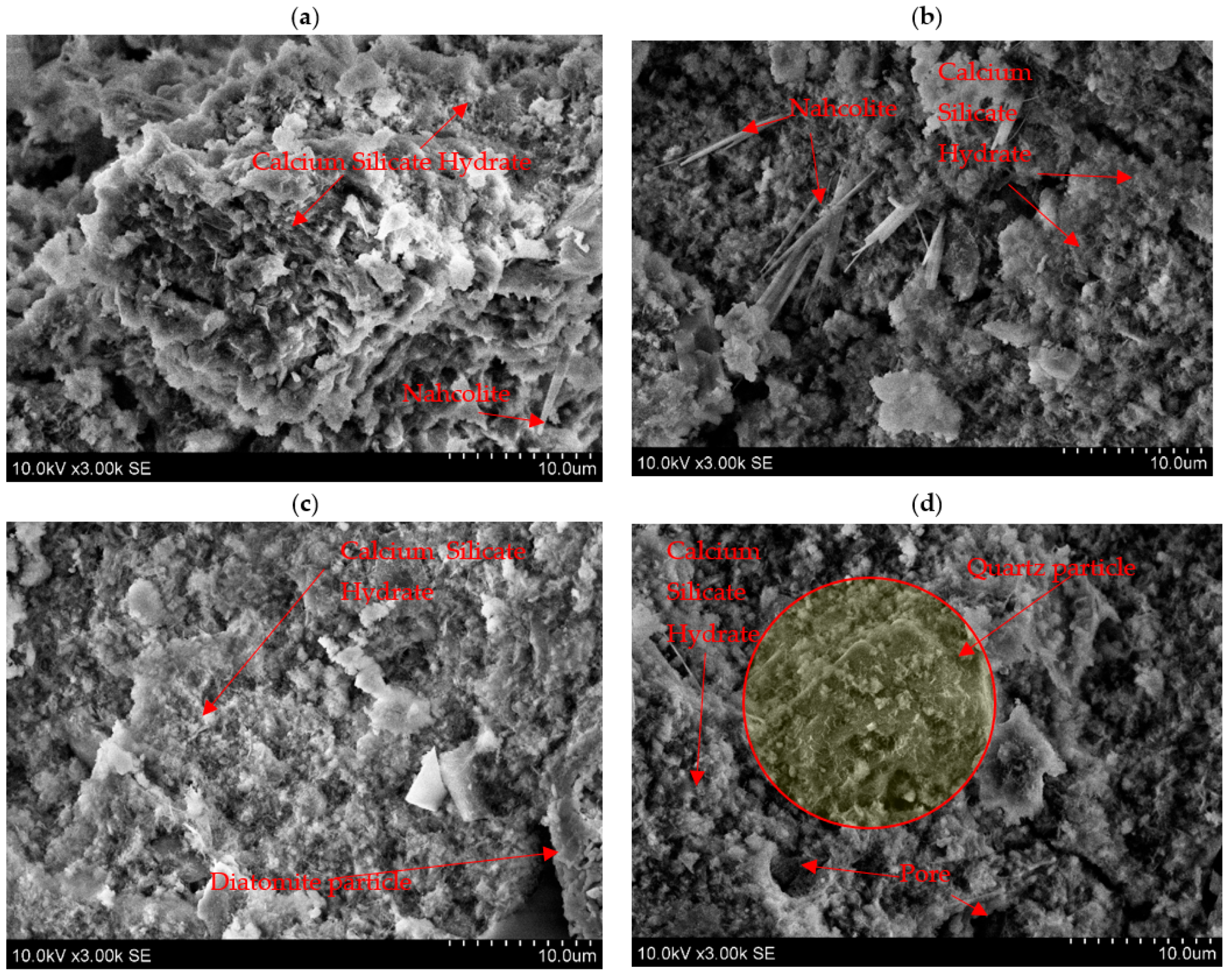 Materials 18 03807 g010